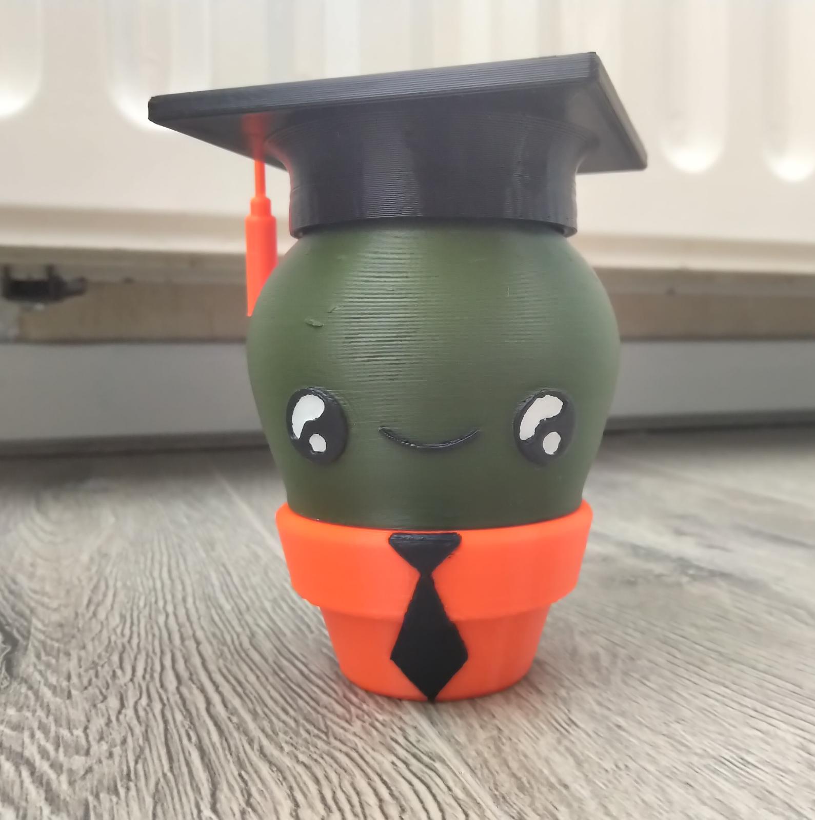 gradutaion cap for kawaii cactus by 3Dwelder