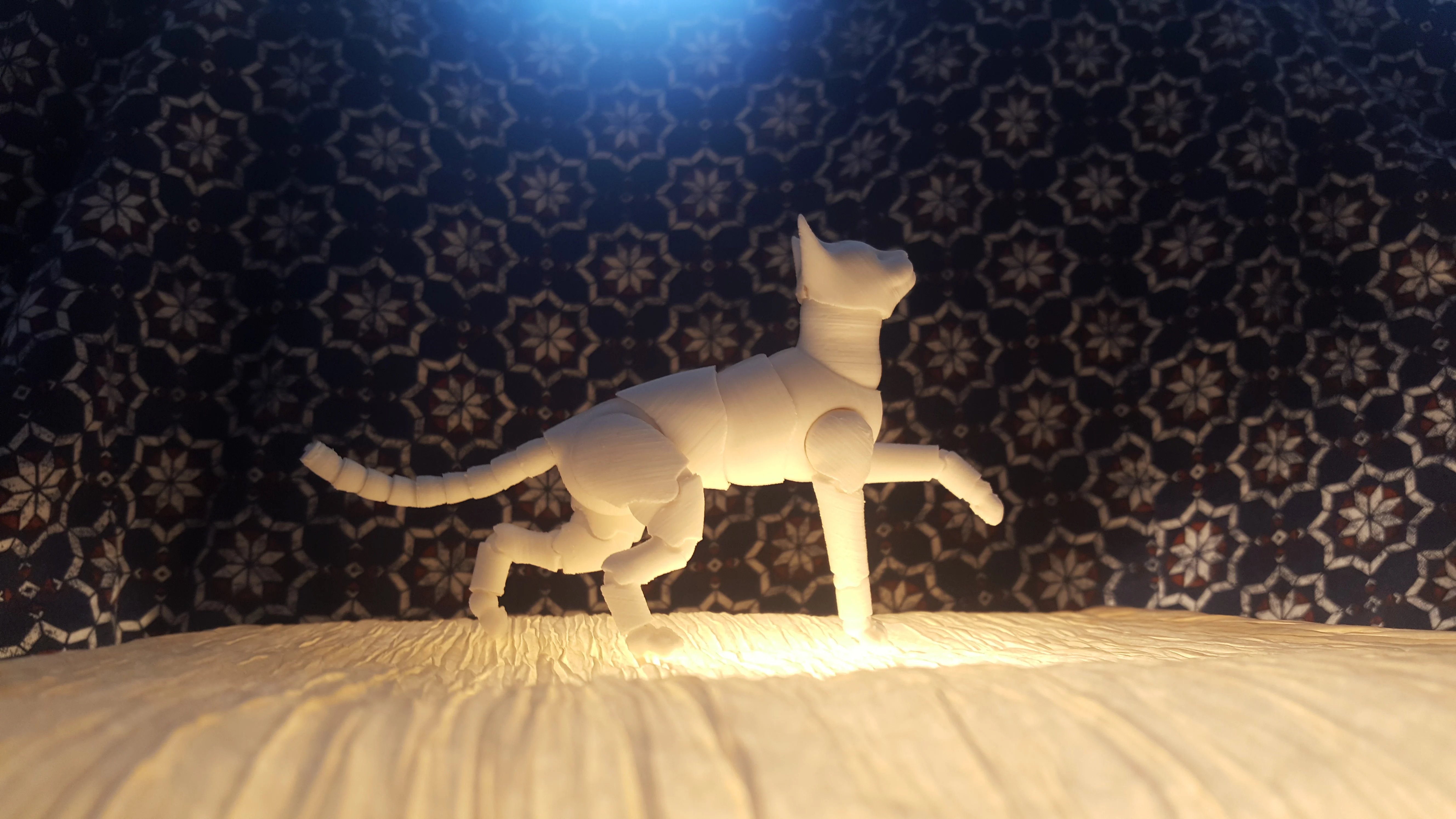 khao Manee Cat