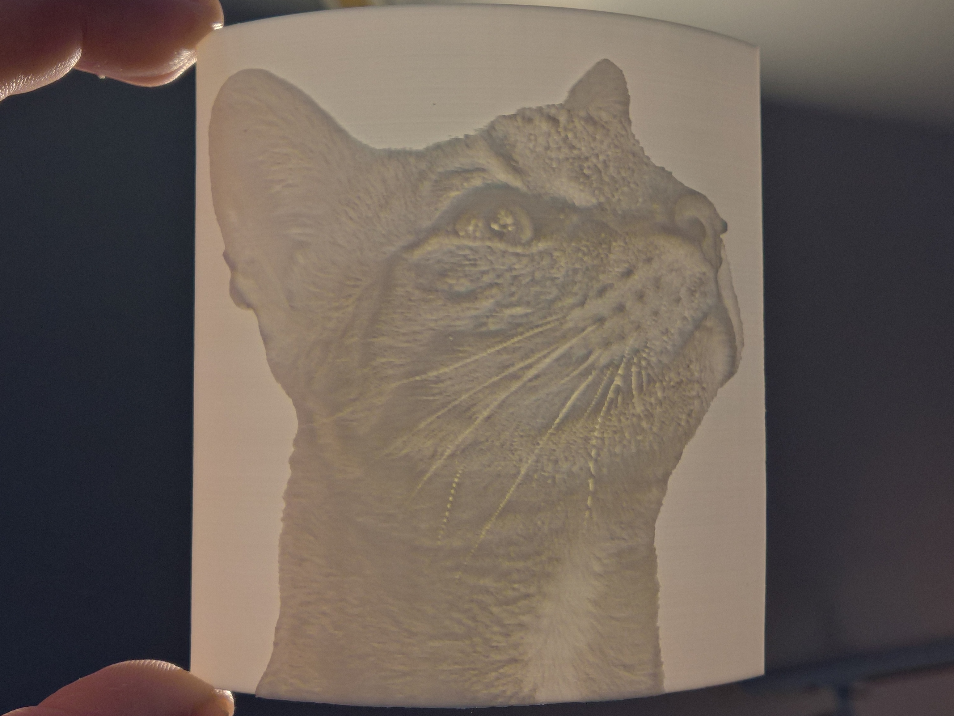 Savannah Cat Lithophane
