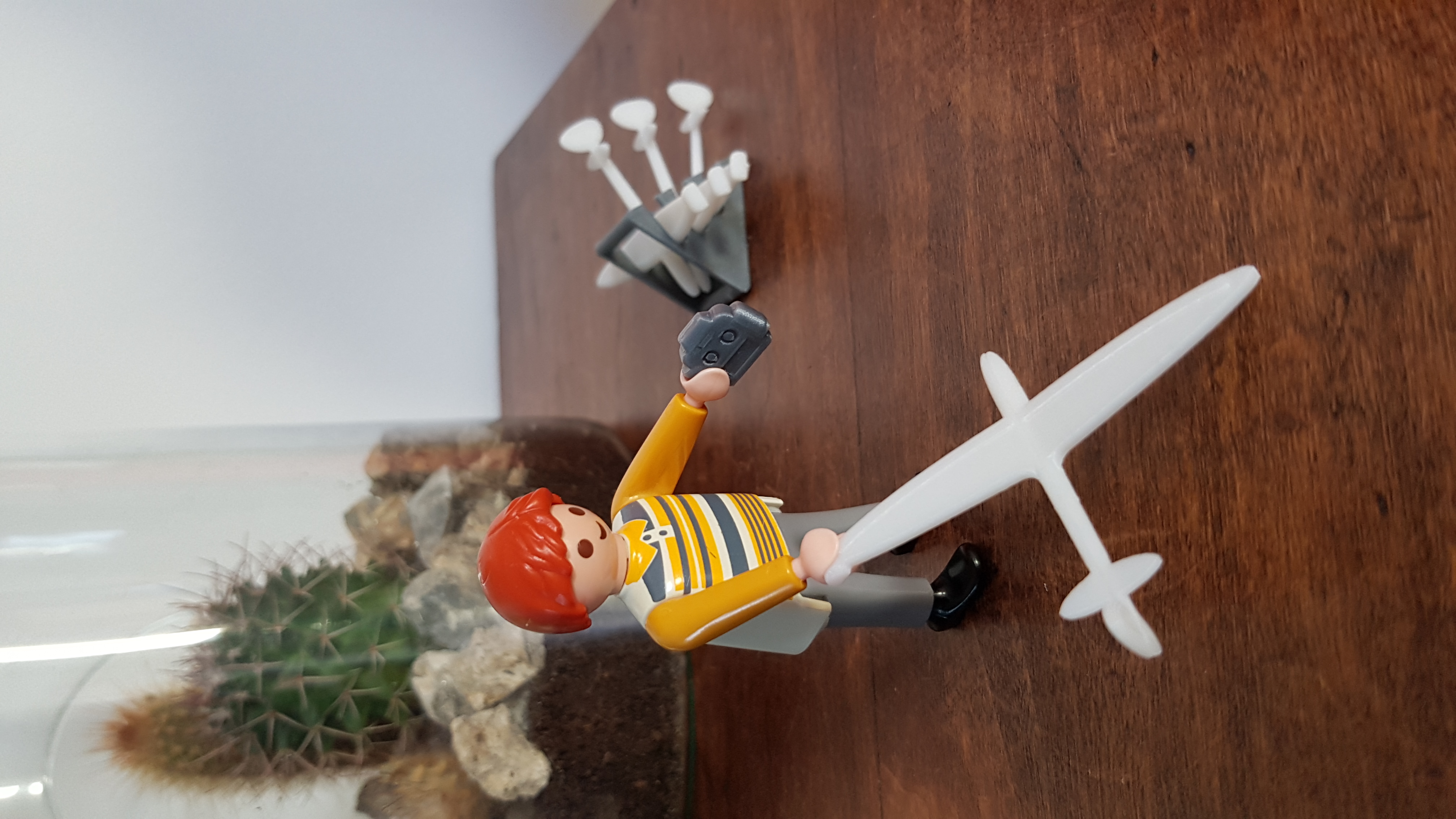 F3K DLG Glider Playmobil