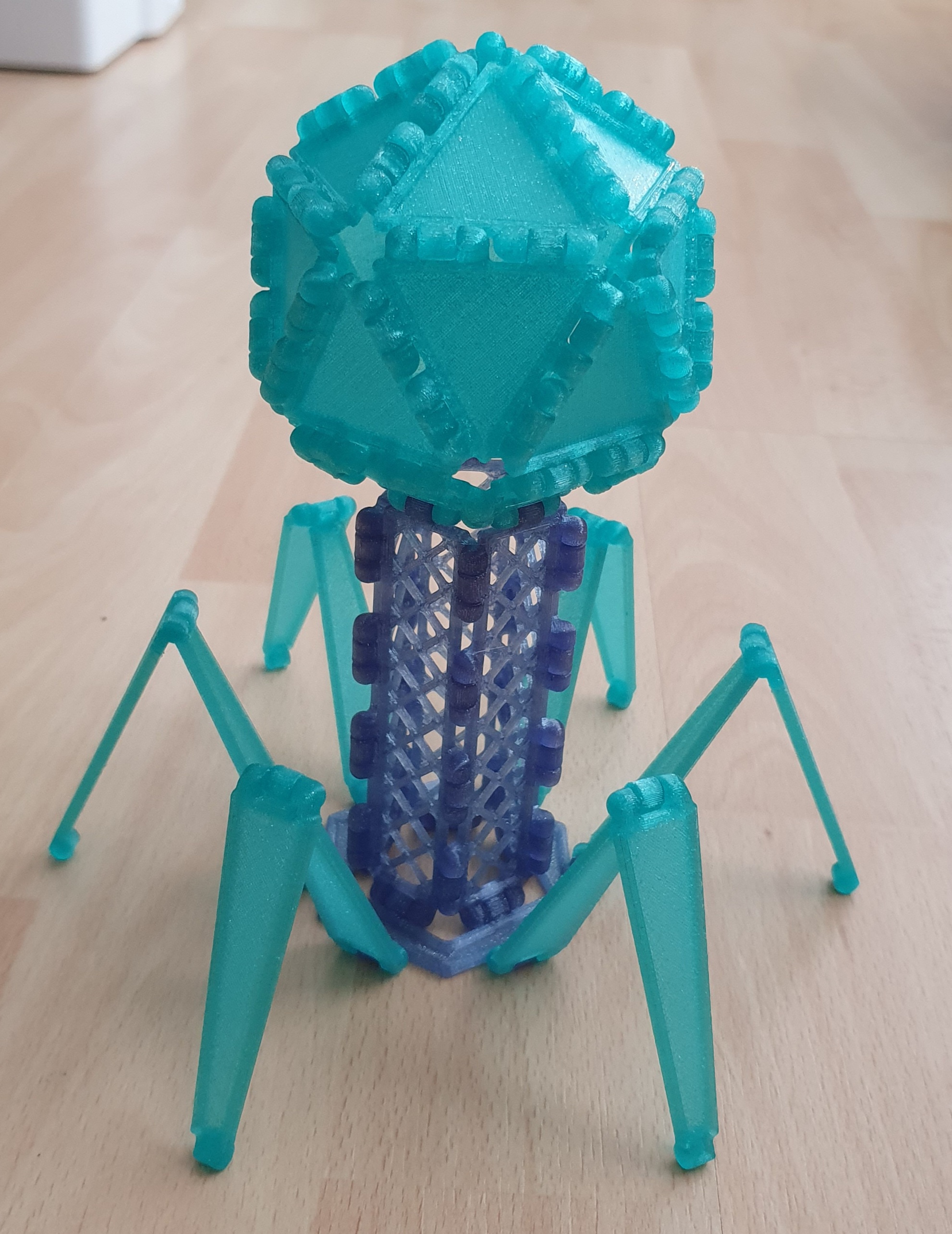 Polypanel bacteriophage