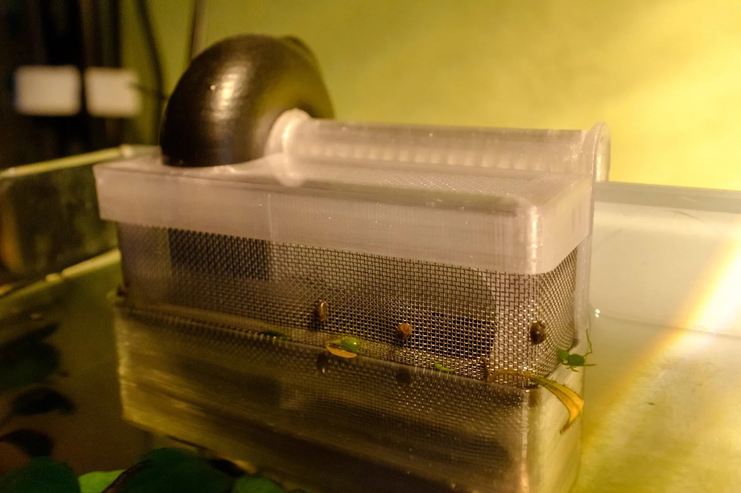 Silent Aquarium Overflow Box for Sump