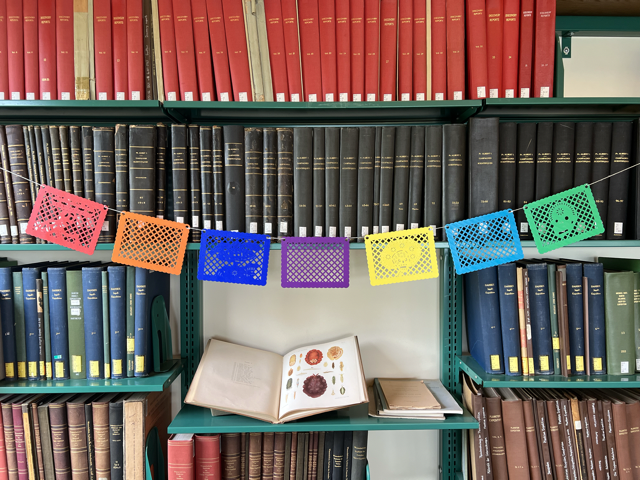 Day of the Dead Papel Picado Flags