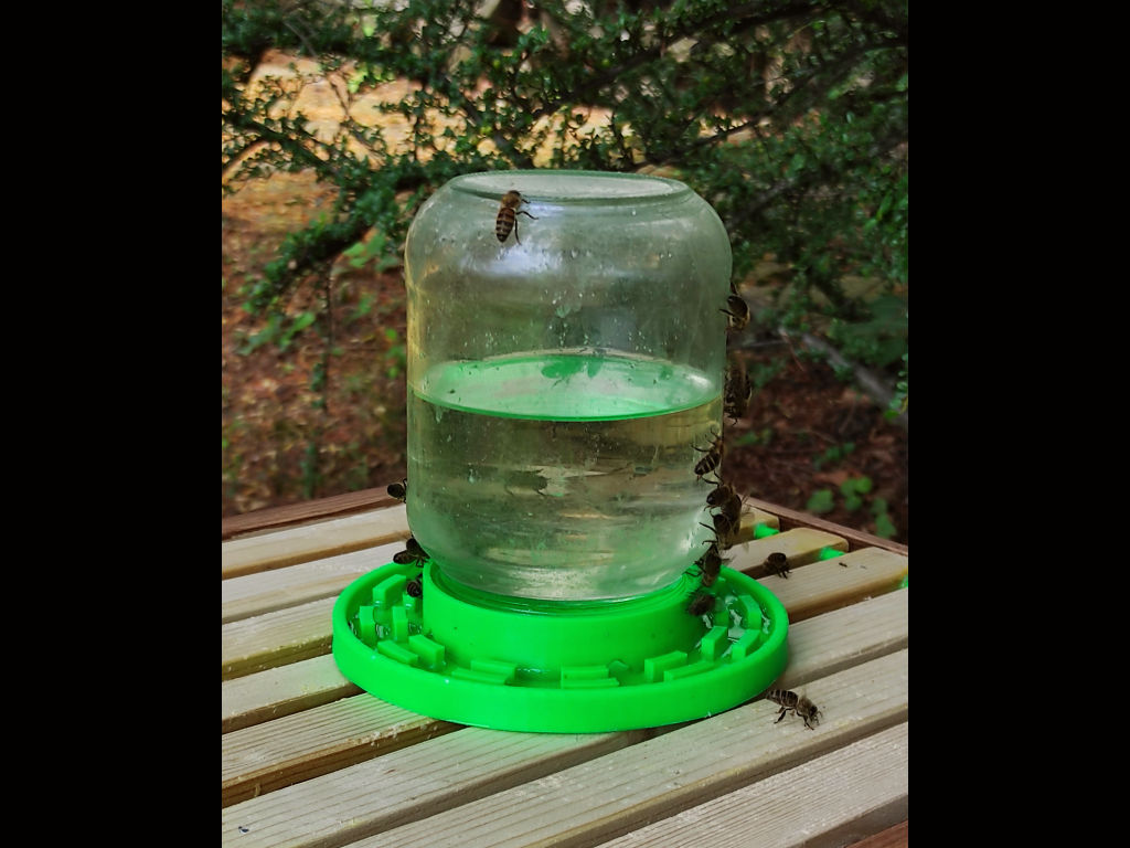 Bee Feeder