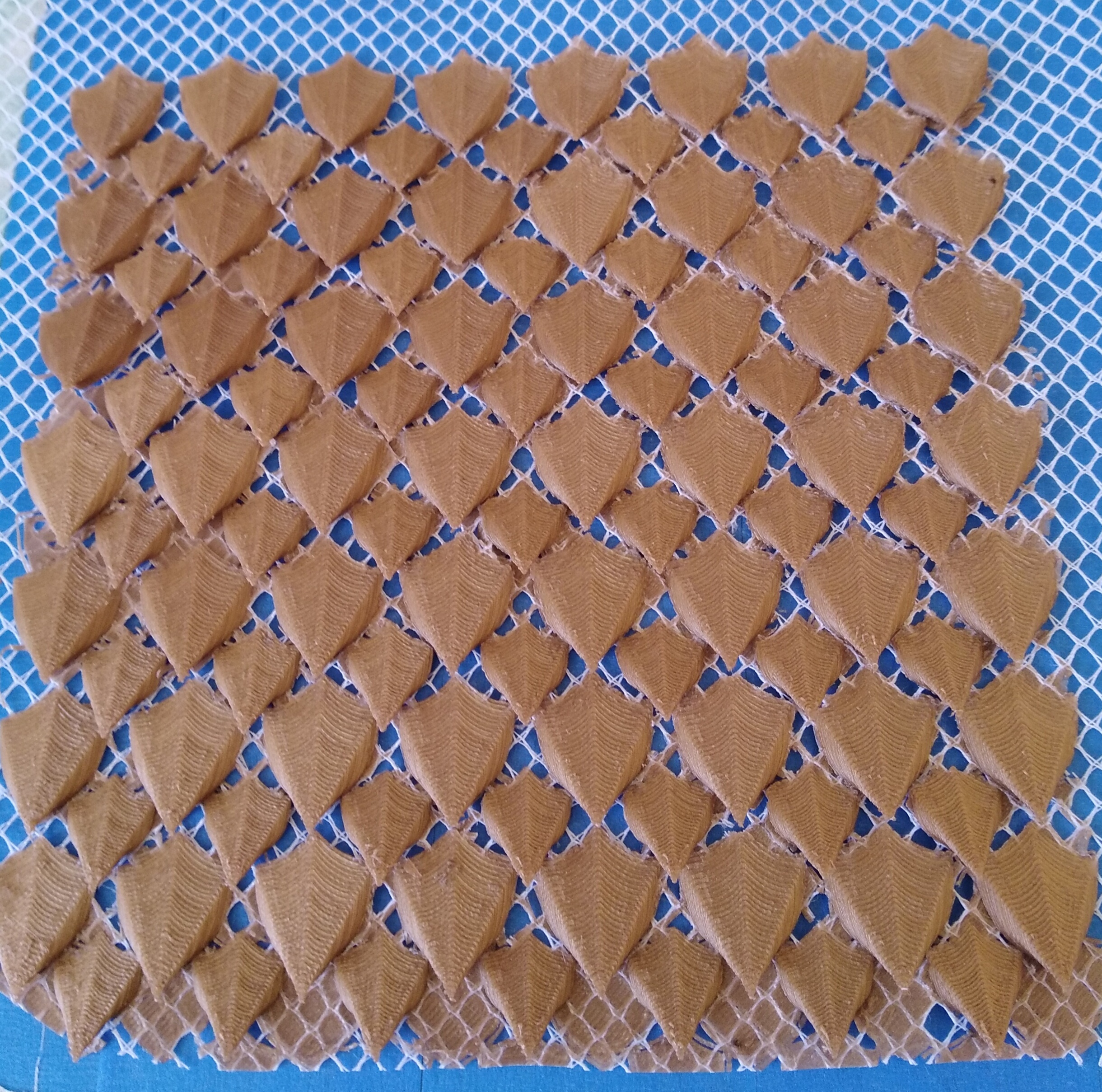 dragon scales