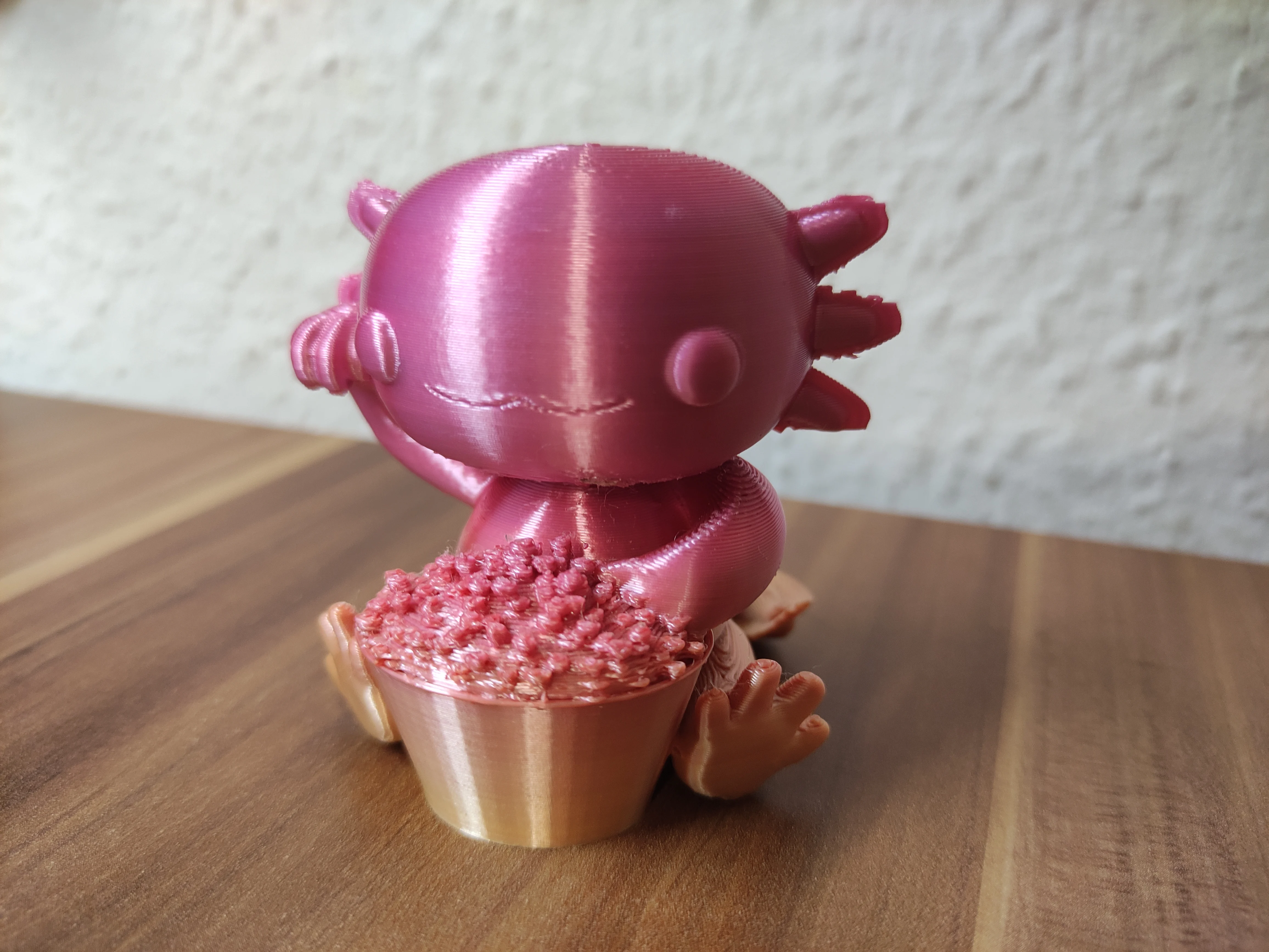 Axolotl with Popcorn