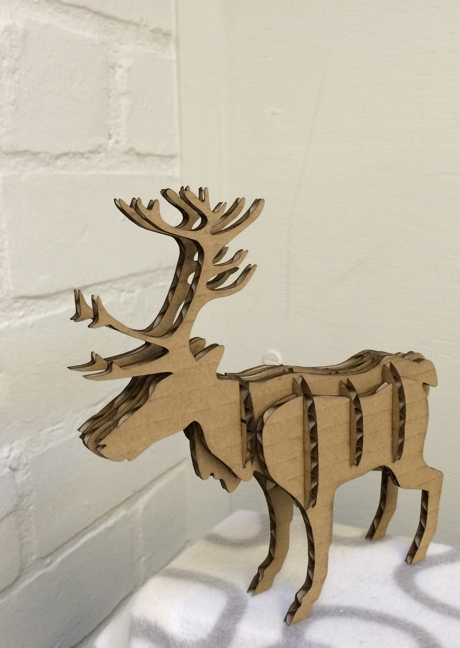 Reindeer