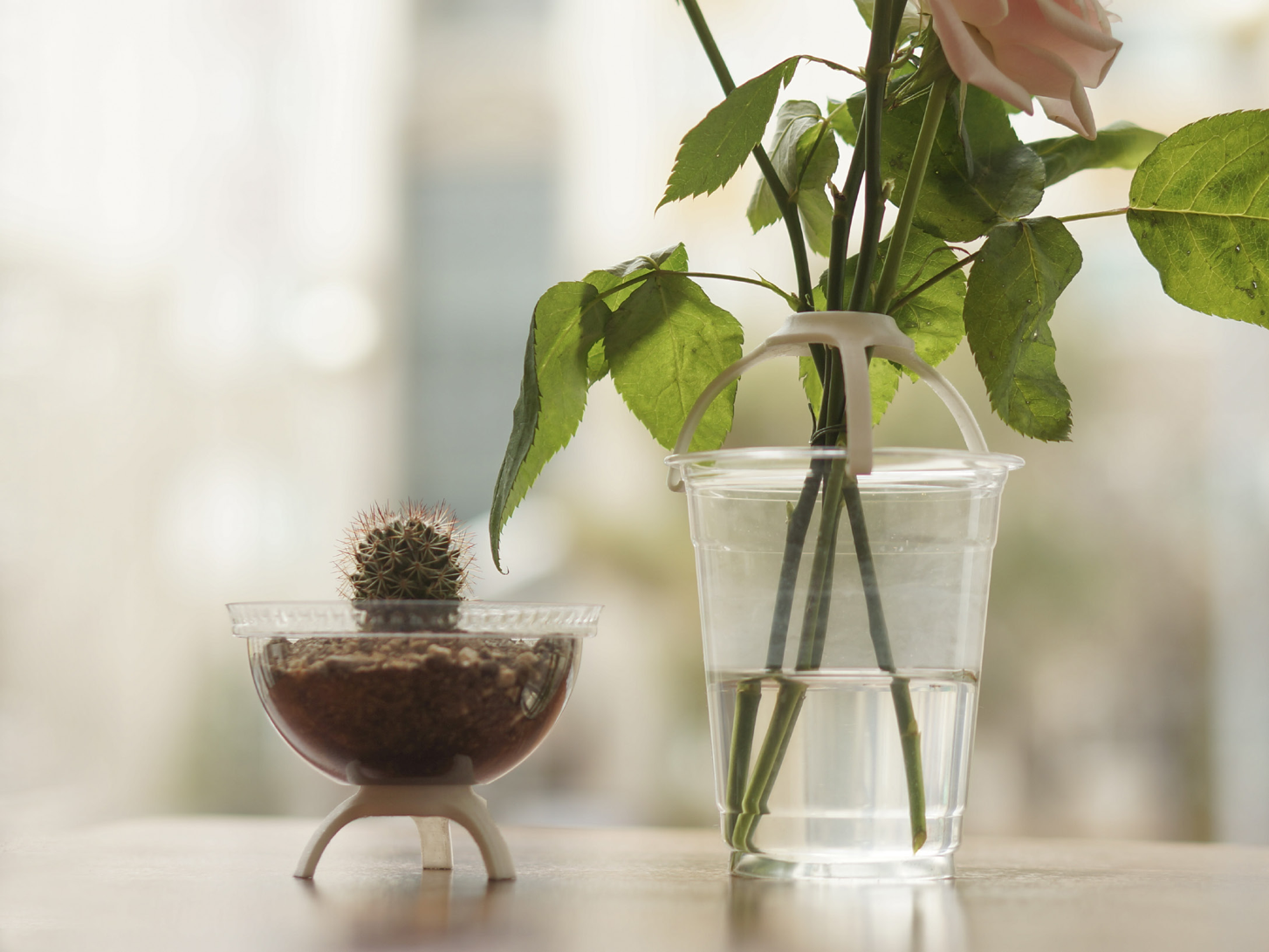 Takeout Garden - reuse your takeout cups