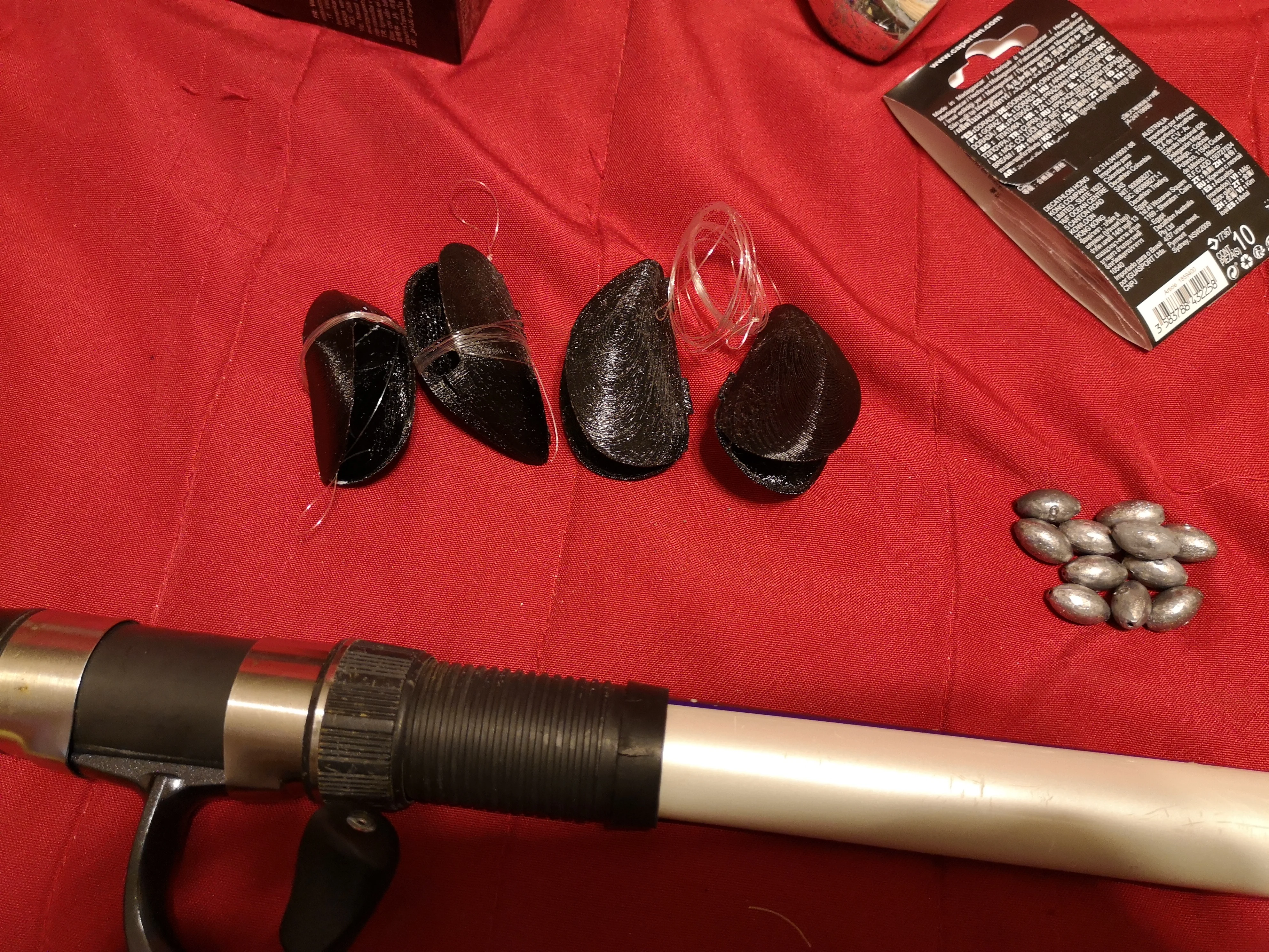 Mussel for fishing / Moule pour la pêche