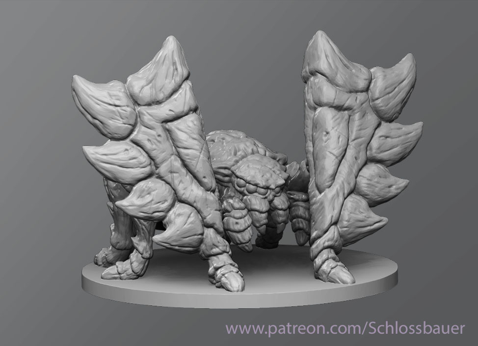 Shield spider