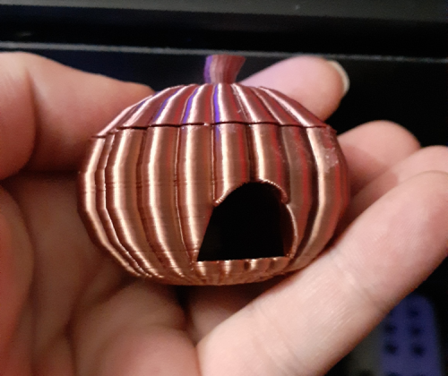 Pumpkin Hide