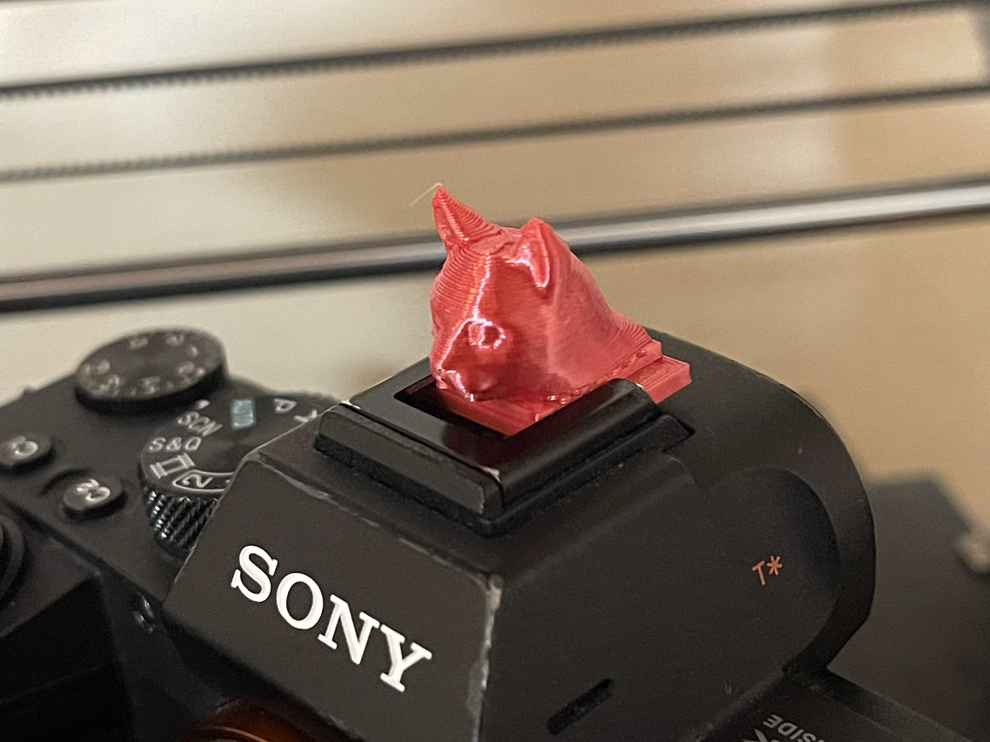 cat shoe / hot shoe accessory for SONY Multi Interface Shoe ,a7