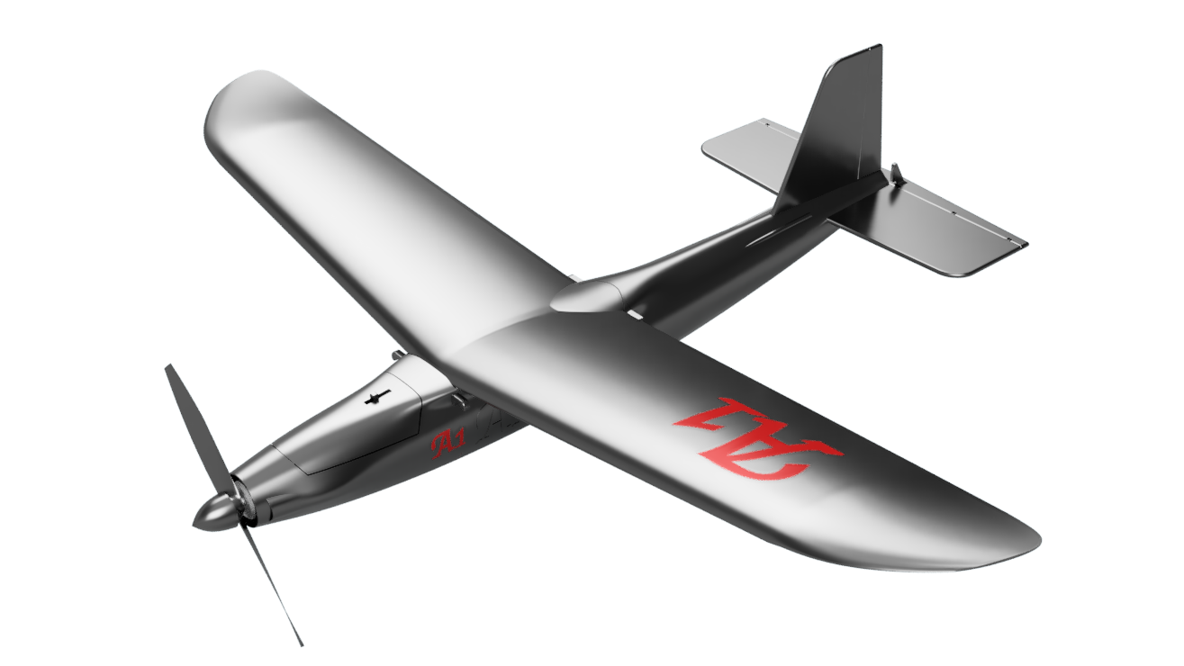 Rc plane A1 handlaunch plane LW-PLA