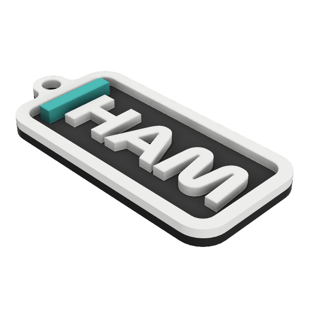 Formula 1 2022 Driver Tag Keychain