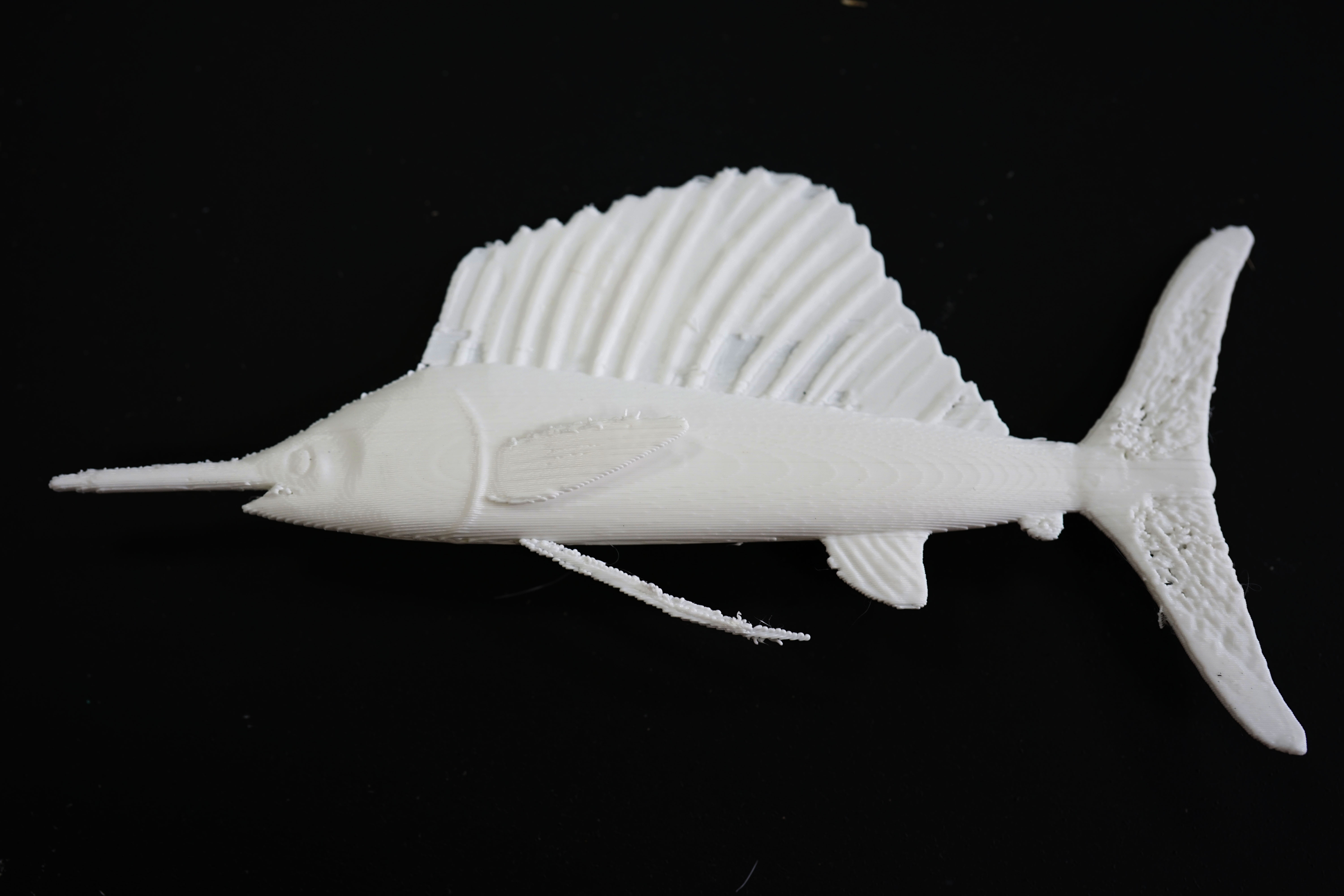 旗魚