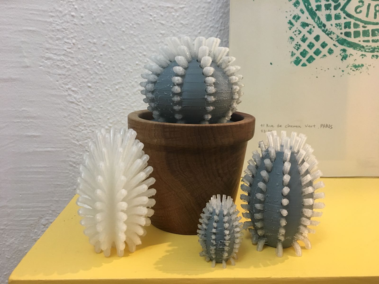 Ambient cactus