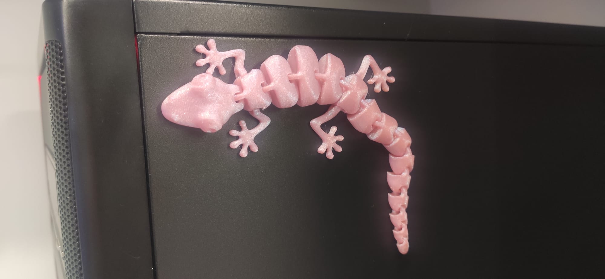 Lizard with hidden magnets