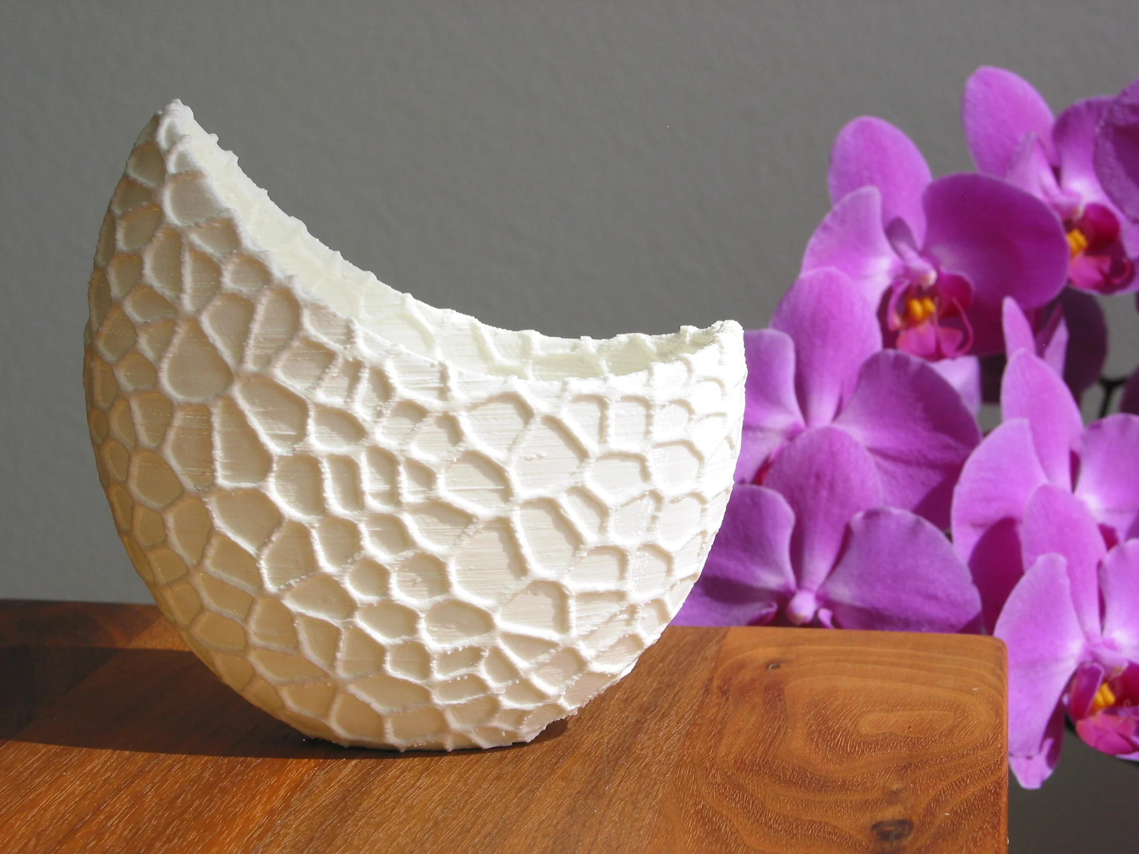 Organic flower pot / Voronoi Vase