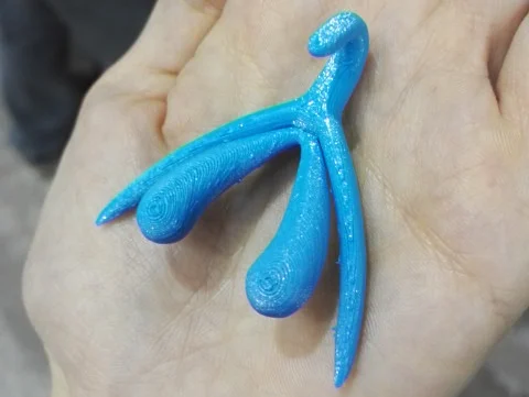 clitoris