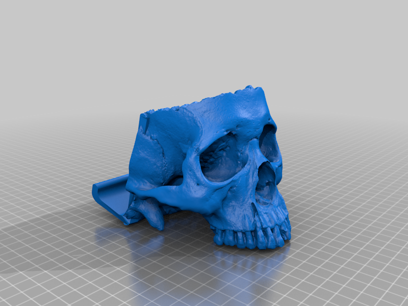 skull Smartphone