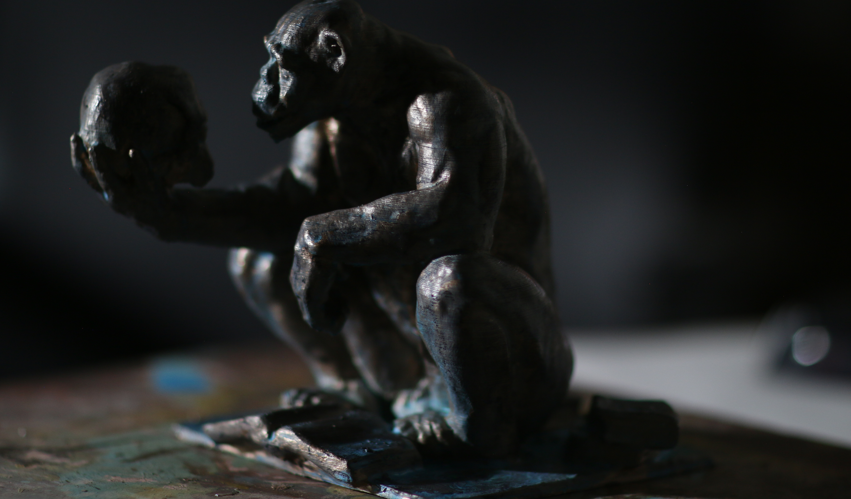 Darwin APe