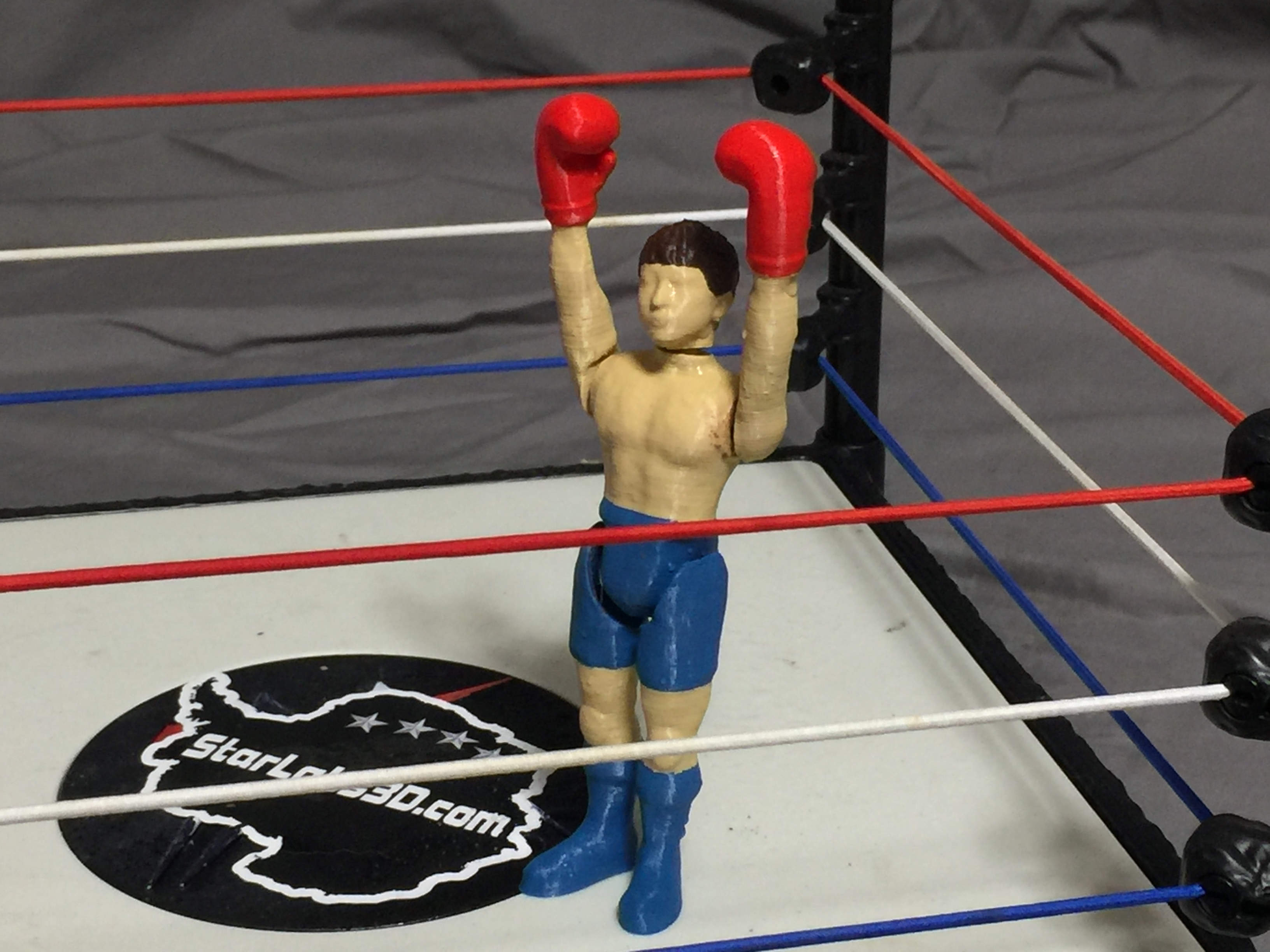 Boxer Zach