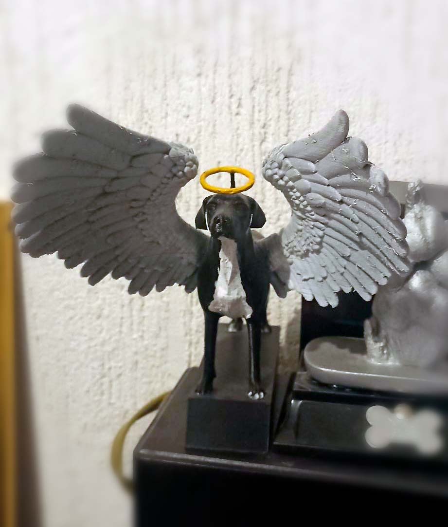 Angel Doggo