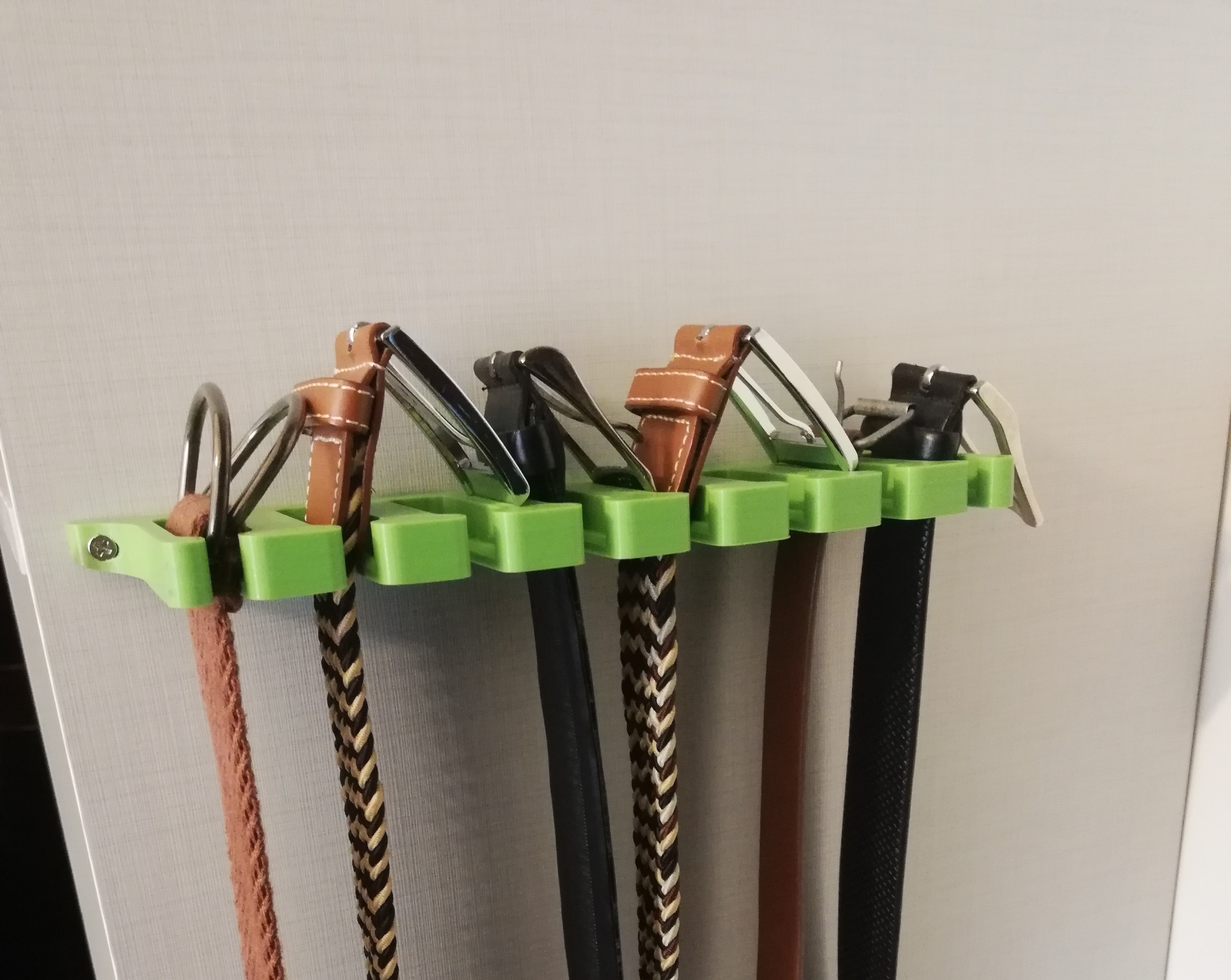 Belt Hanger/Organizer