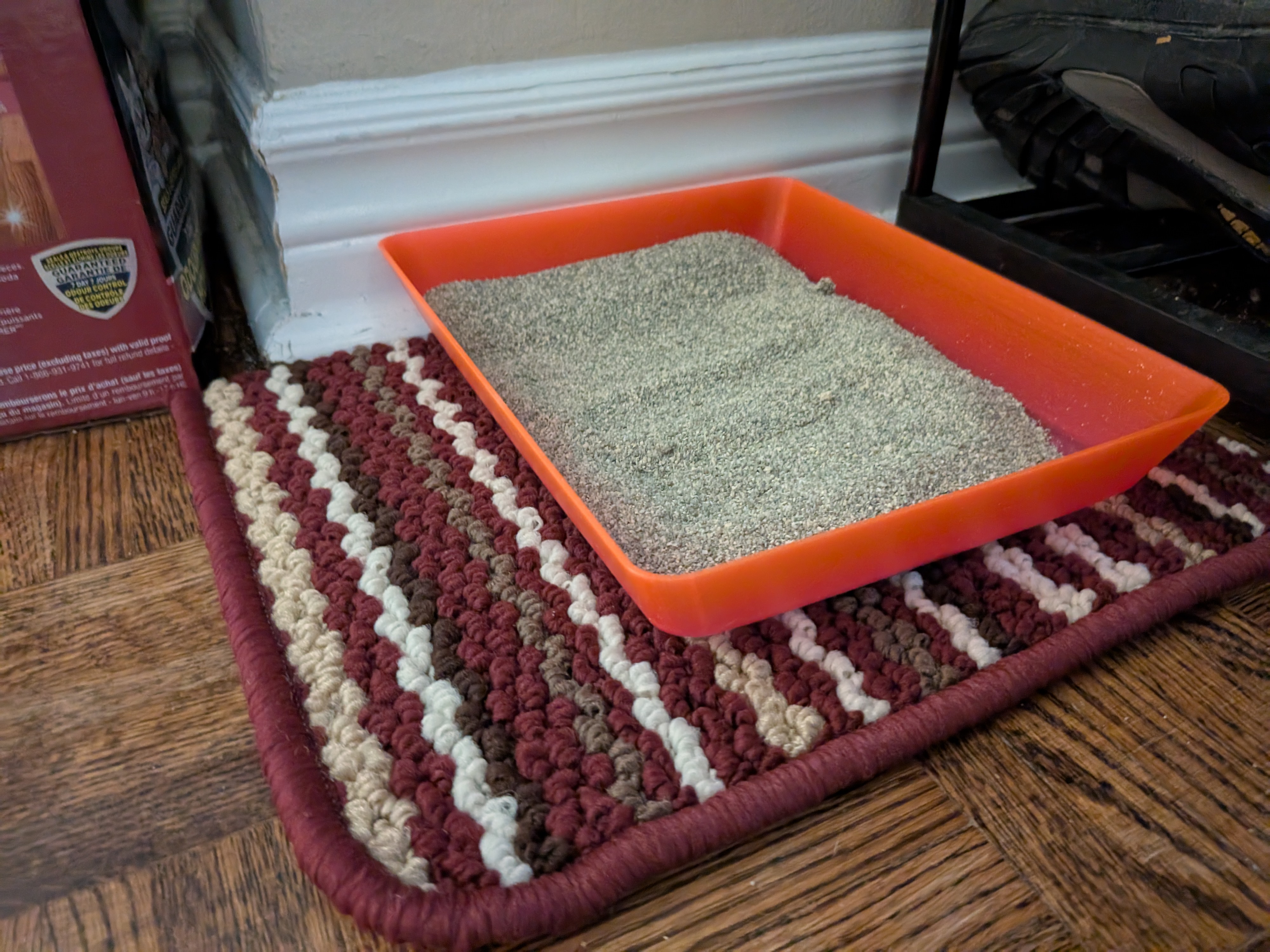 Kitten litterbox