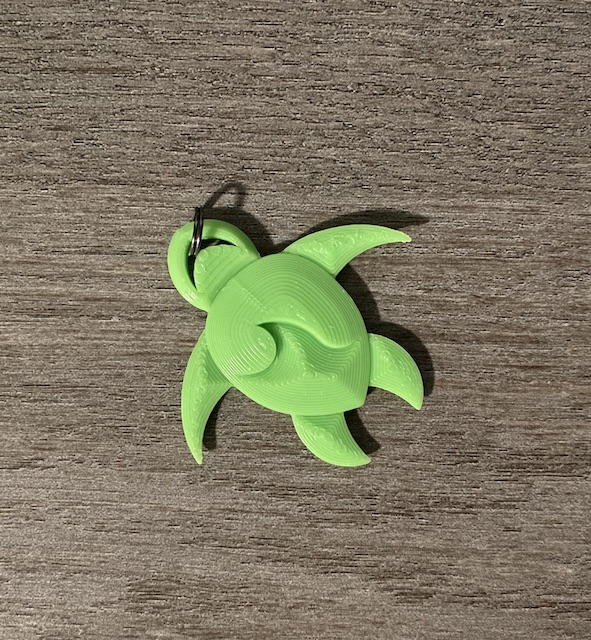 Wavy Sea Turtle
