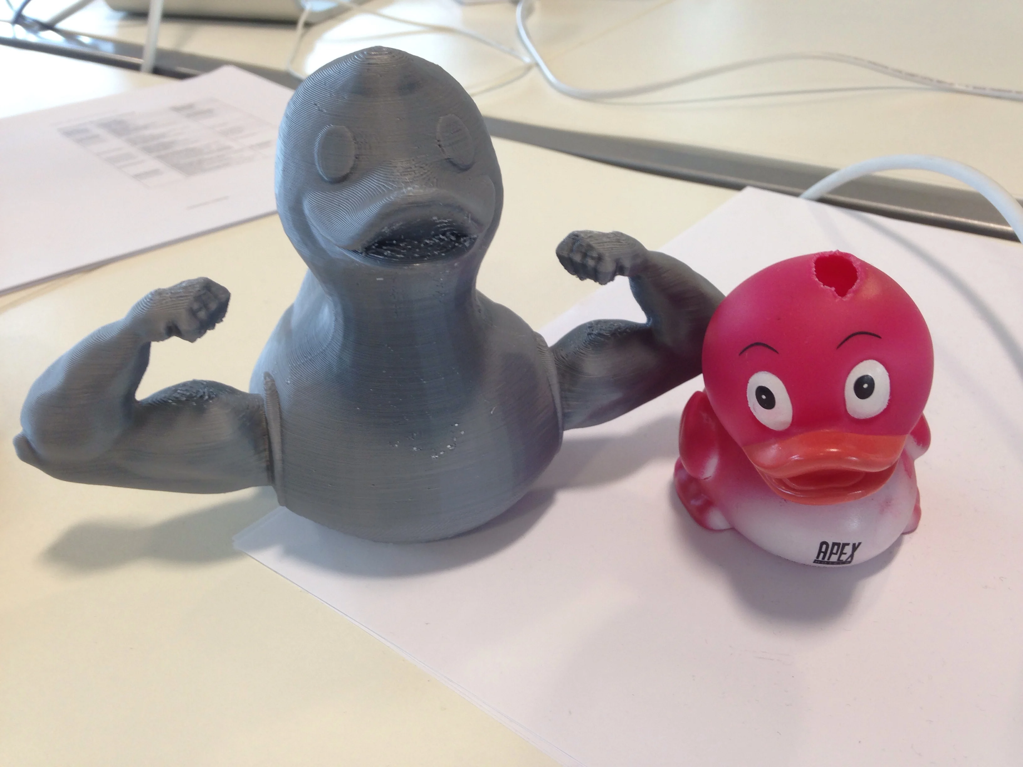 Muscle Duck