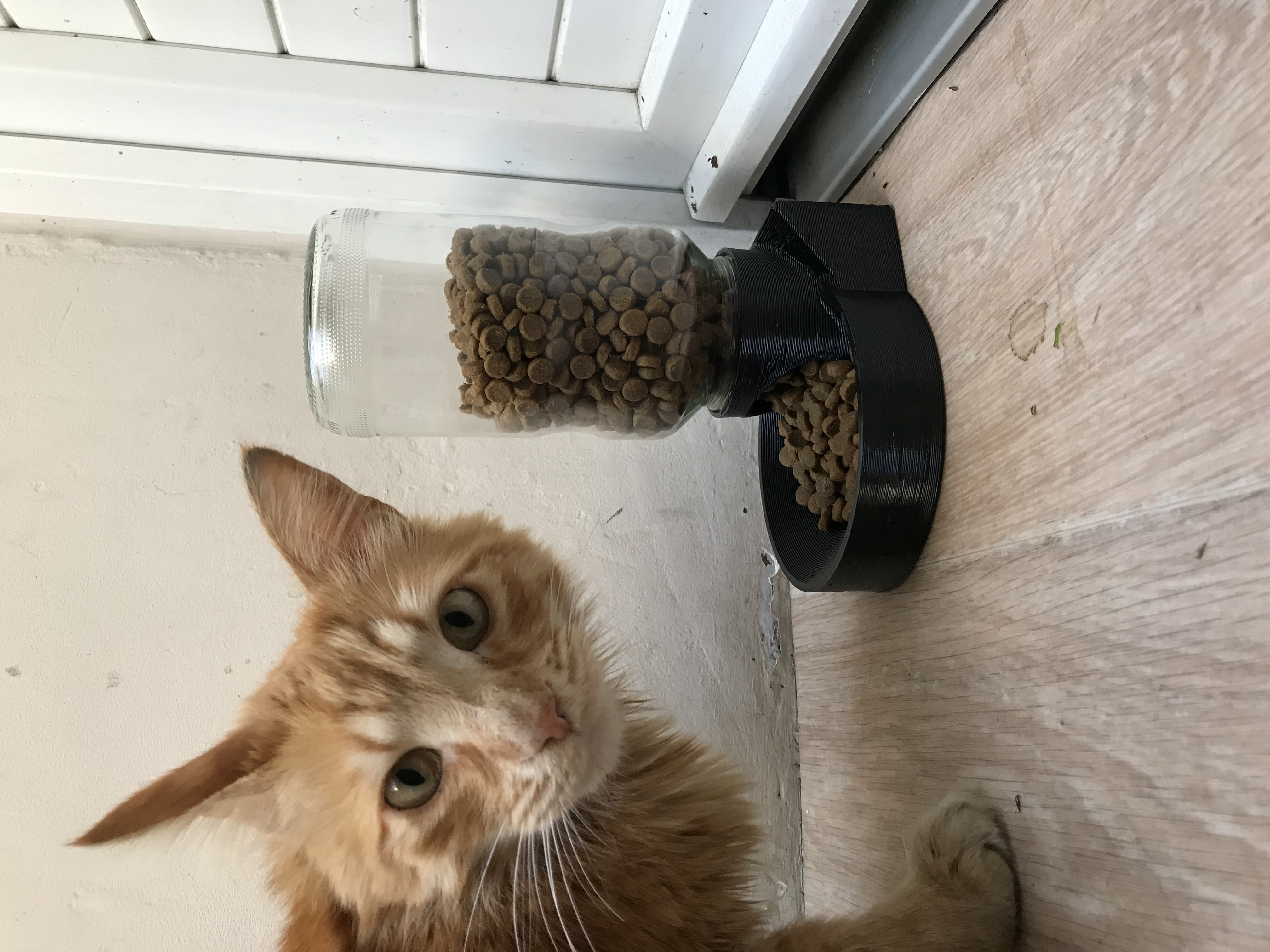 Cat food dispenser