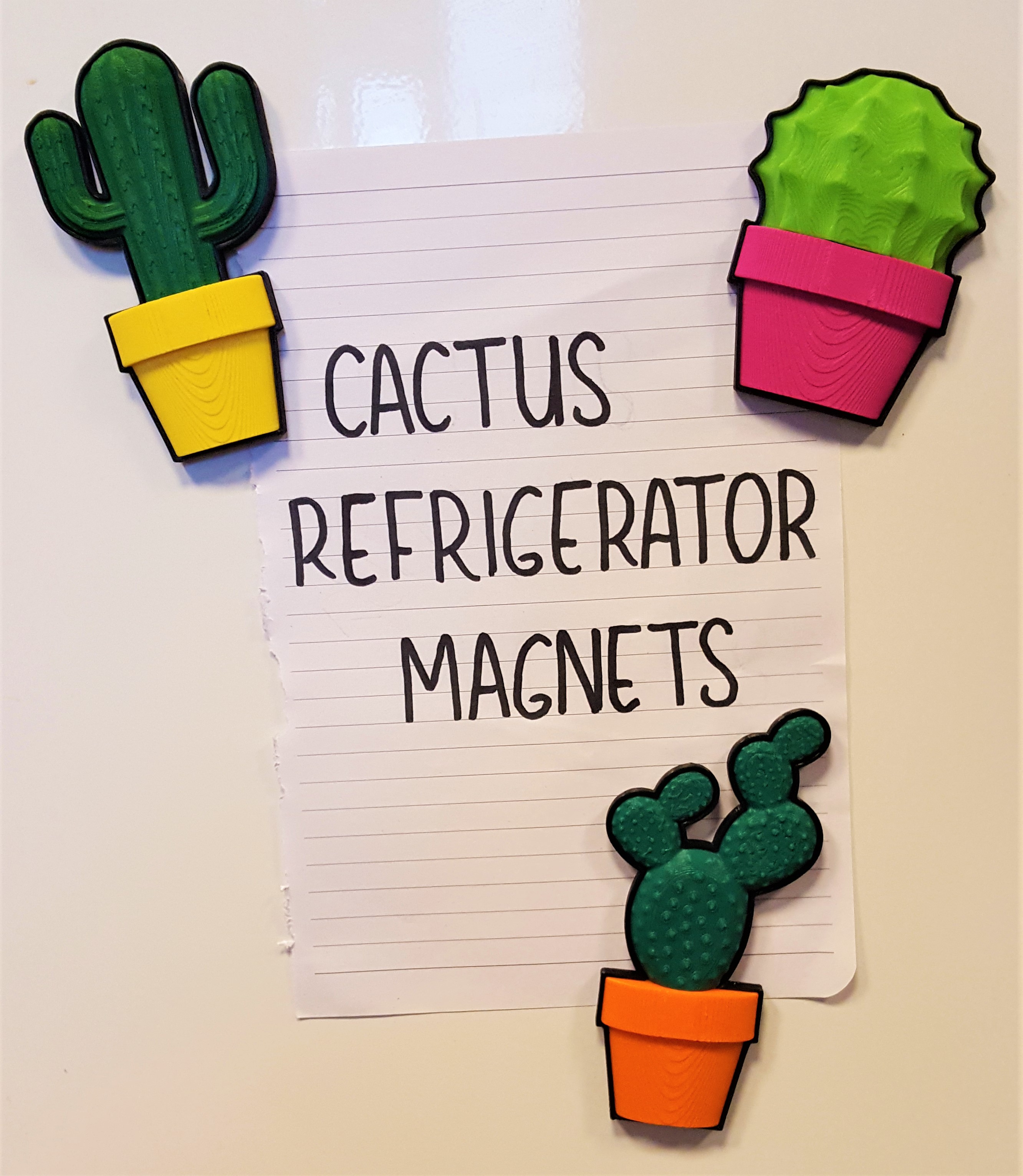 Cactus Refrigerator Magnets