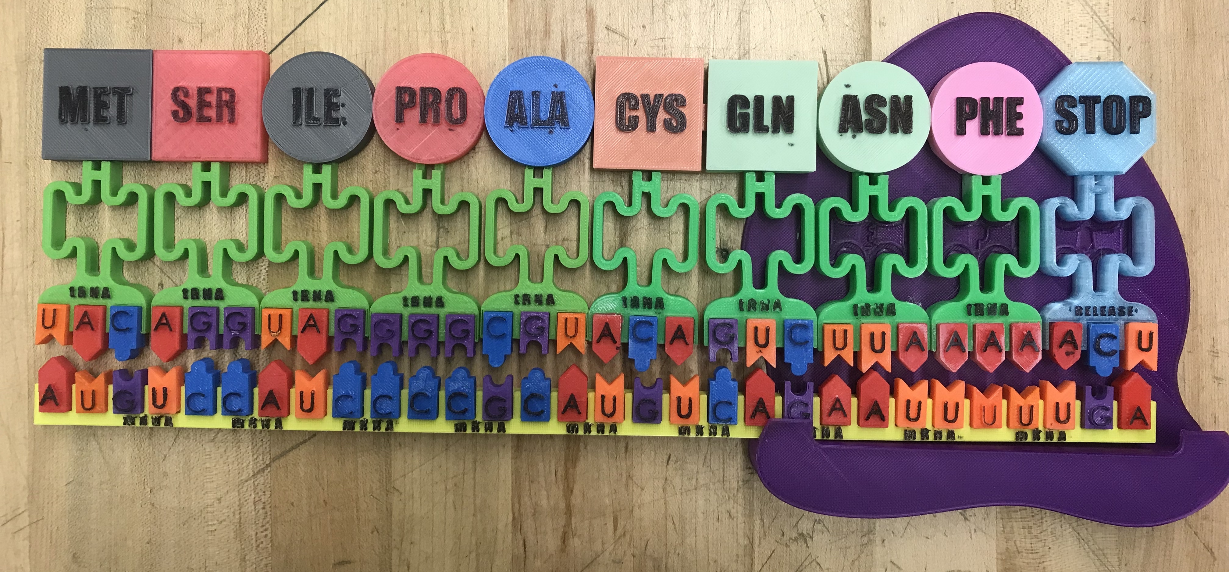Translation Modeling Activity
