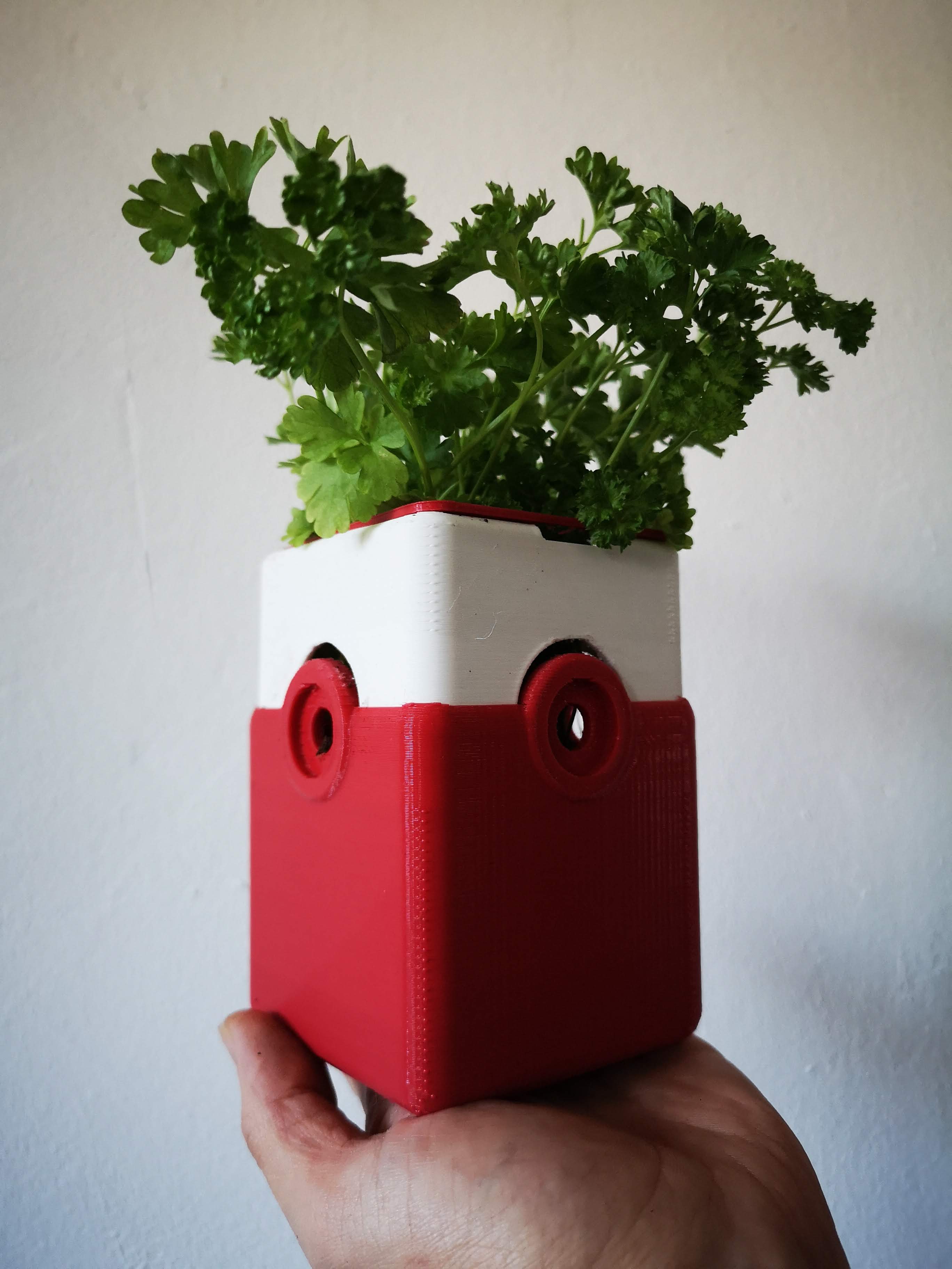 Hydroponic Planter System / Xoodo Pöd