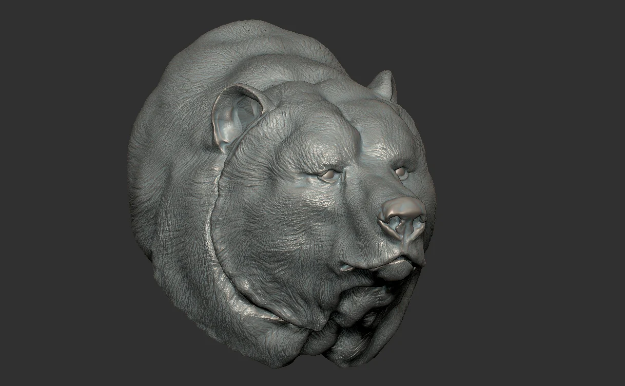 bear