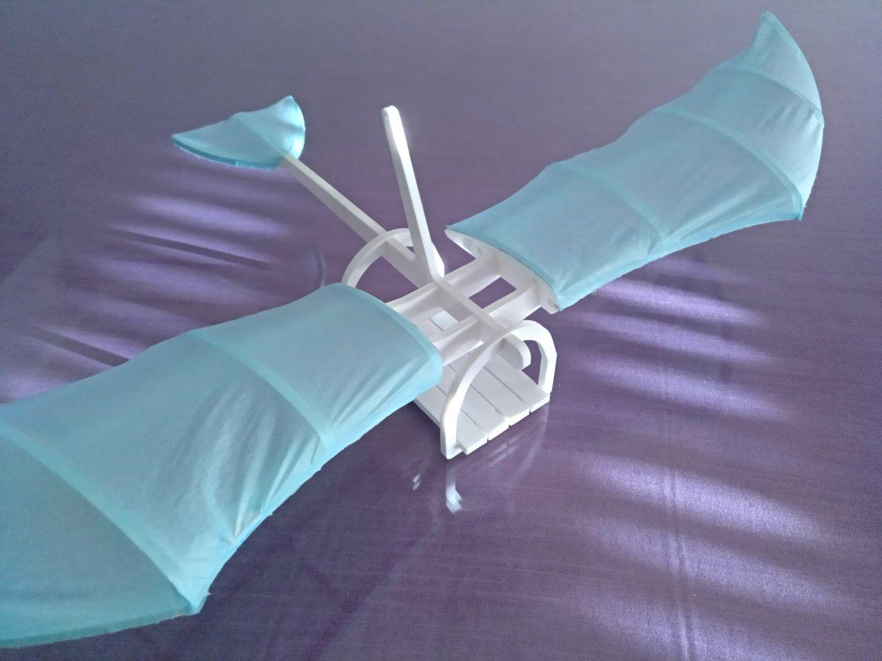 Leonardo da Vinci inspired glider - single stl per part