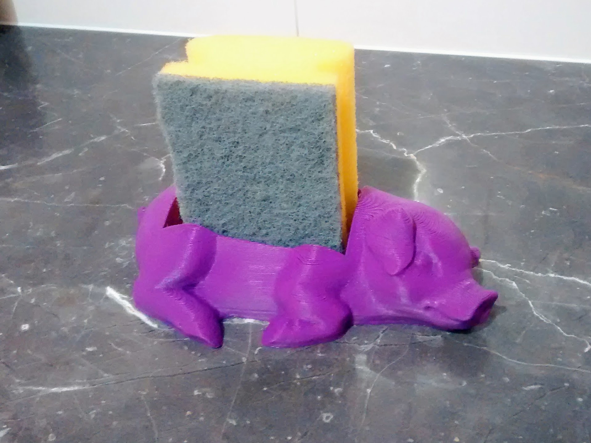 Sponge Pig