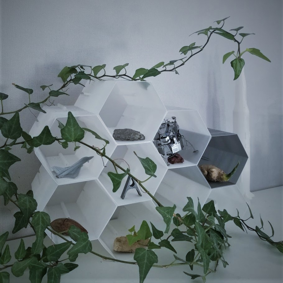 Modular Honeycomb Organizer