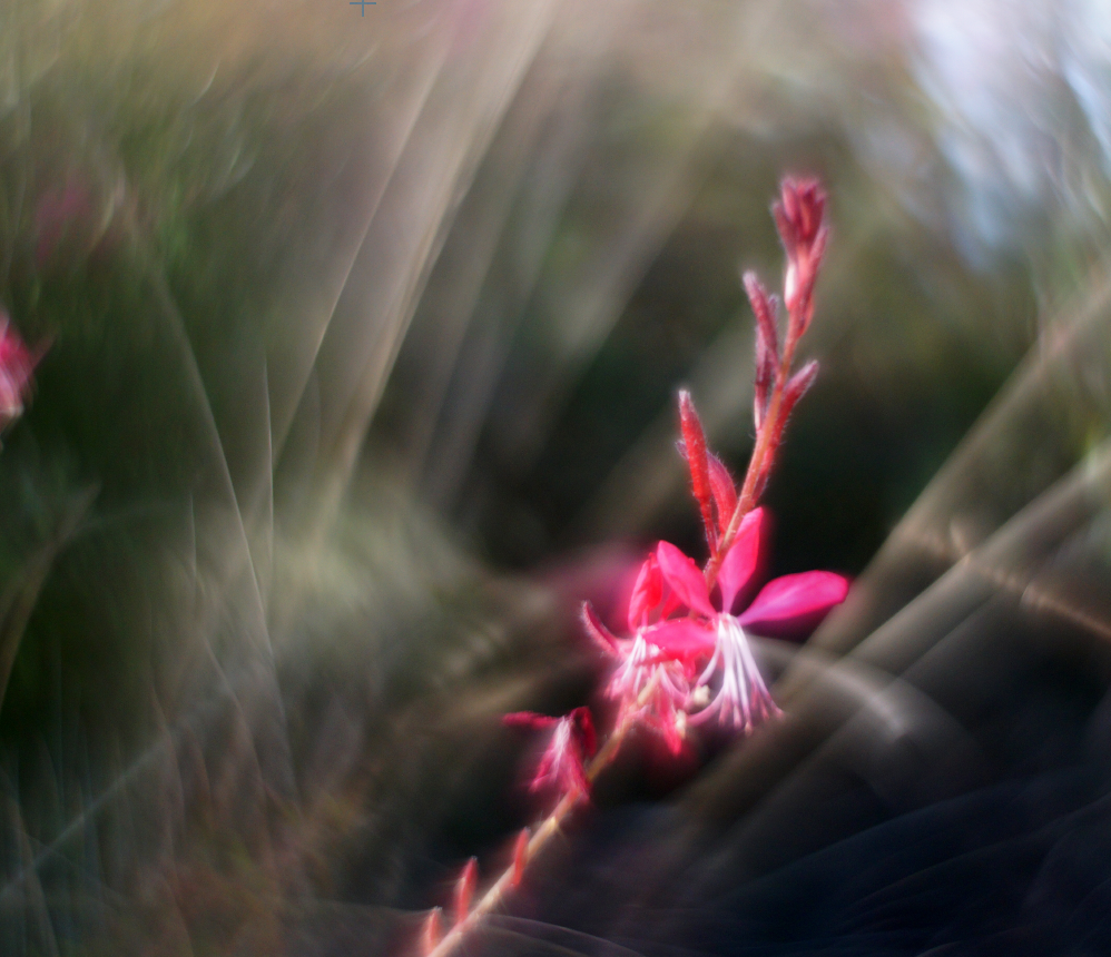 HELIOS 44 - Petzval mod washer
