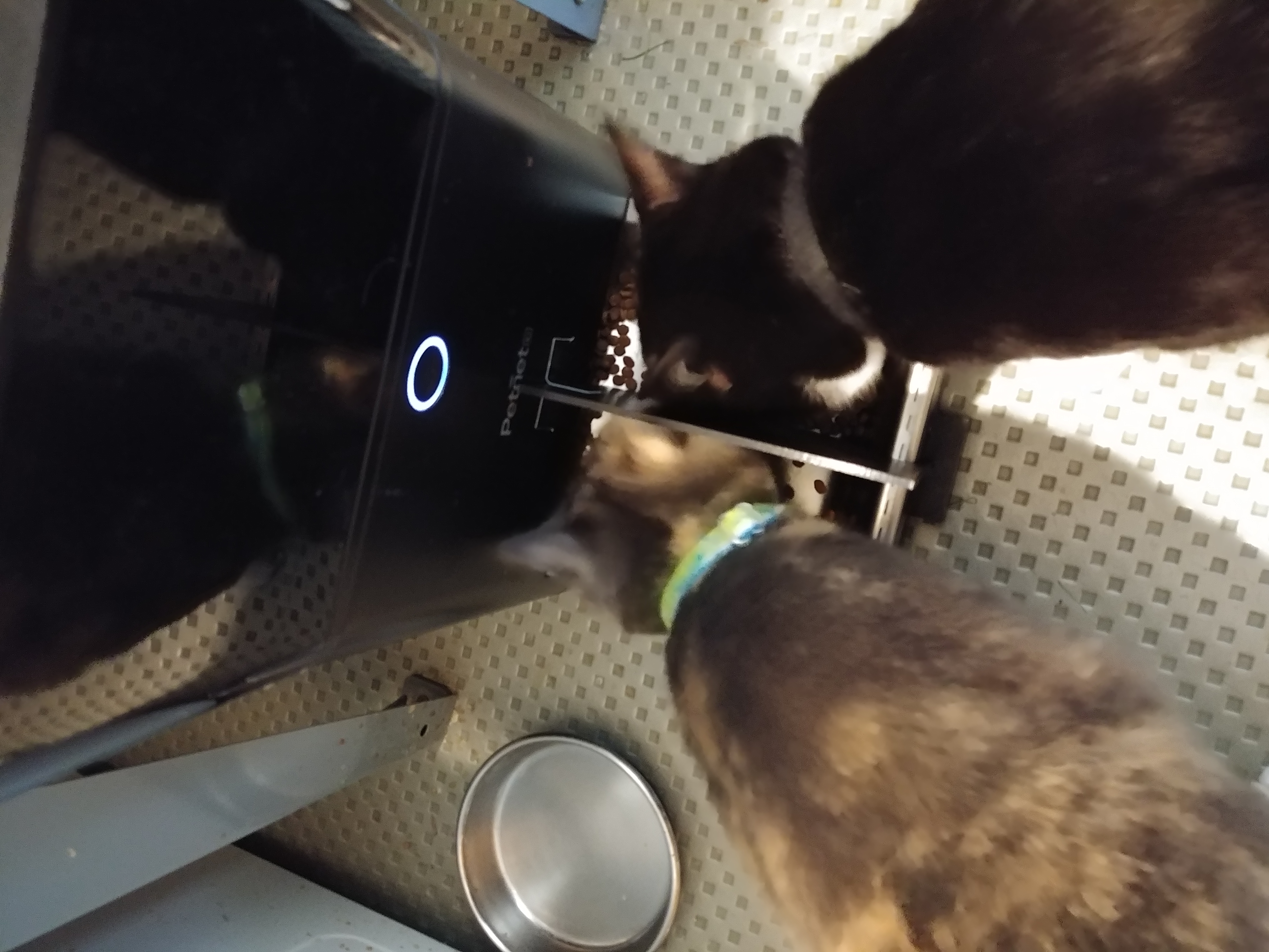 PetNet Bowl Divider