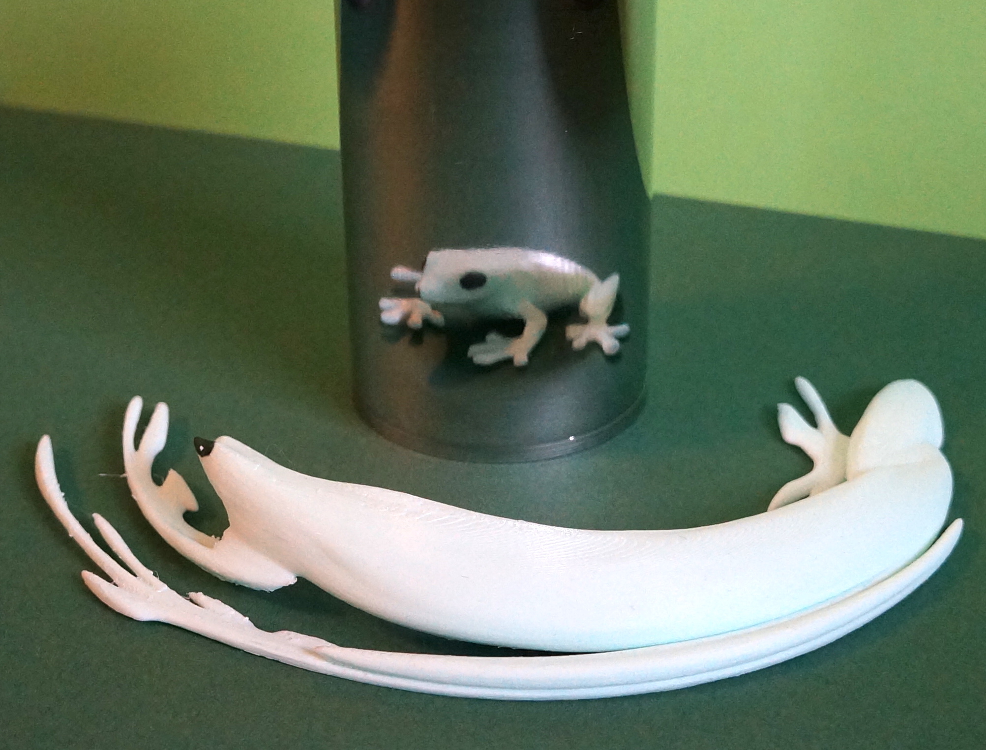 Anamorphic Frog