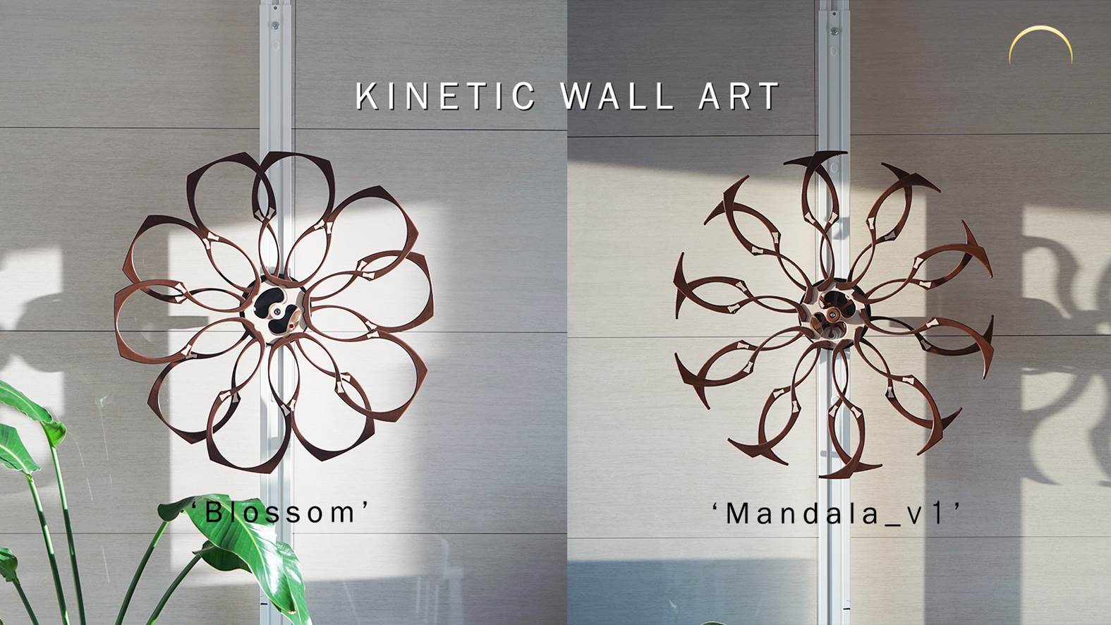 Kinetic Wall Art (Blossom & Mandala)