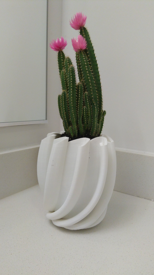 Cactus Planter 1