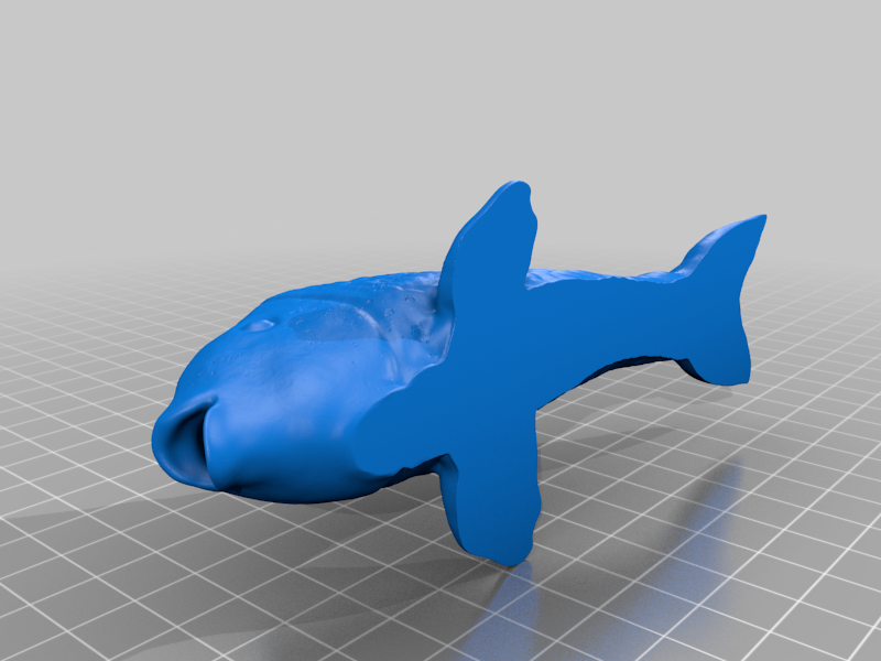 fish doorstopper