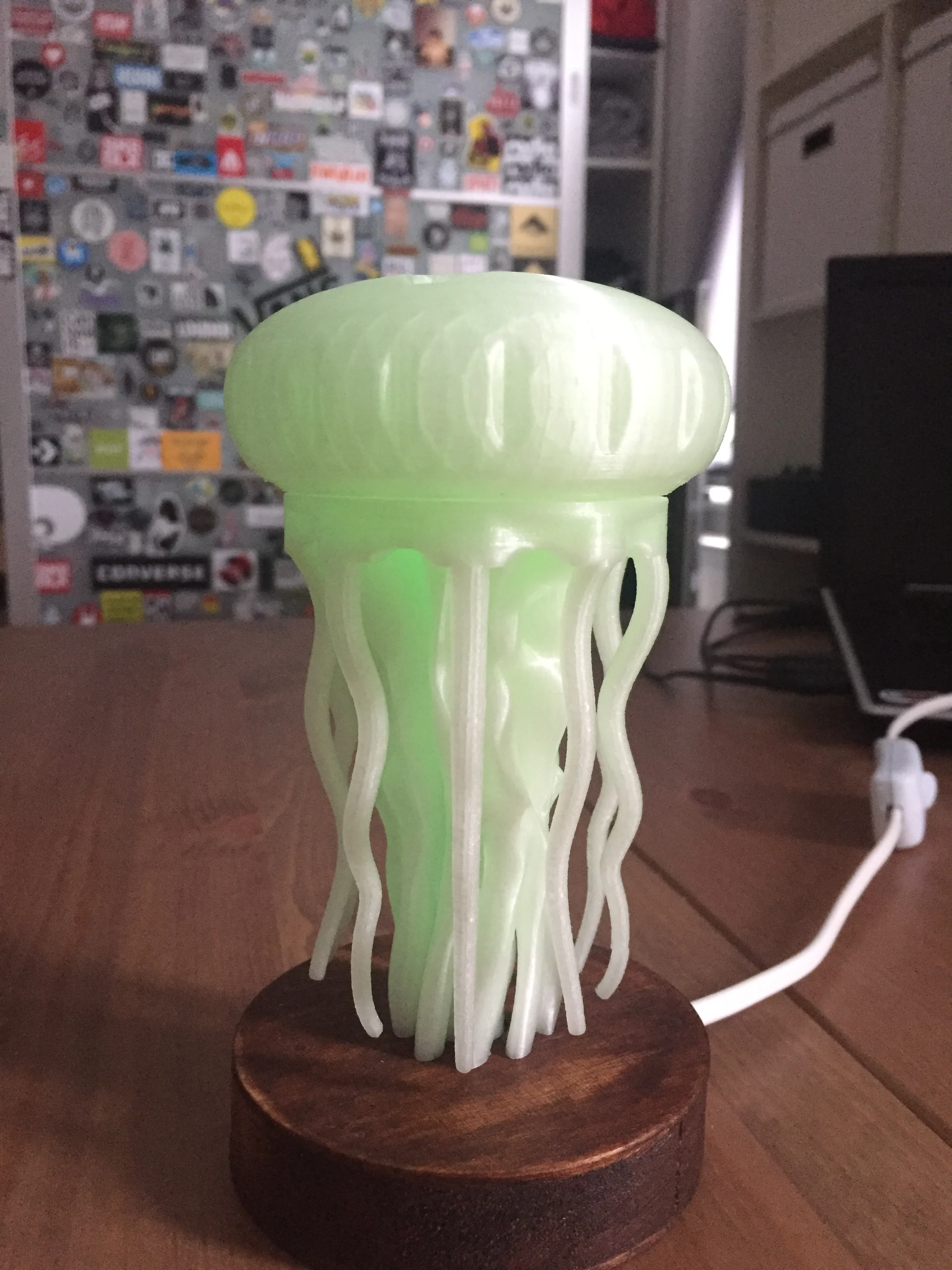 Jellyfish lamp