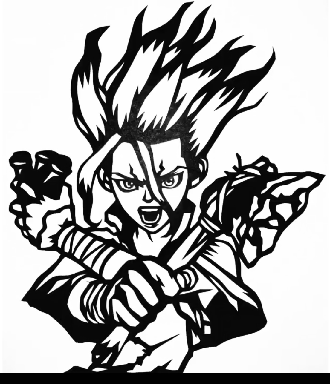 2D Dr Stone