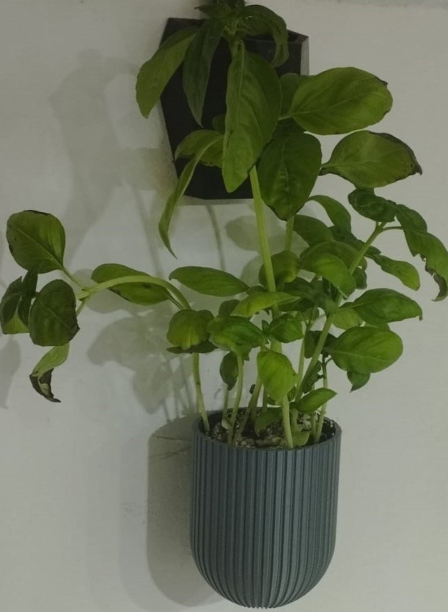 Flowerpot for your vertical garden