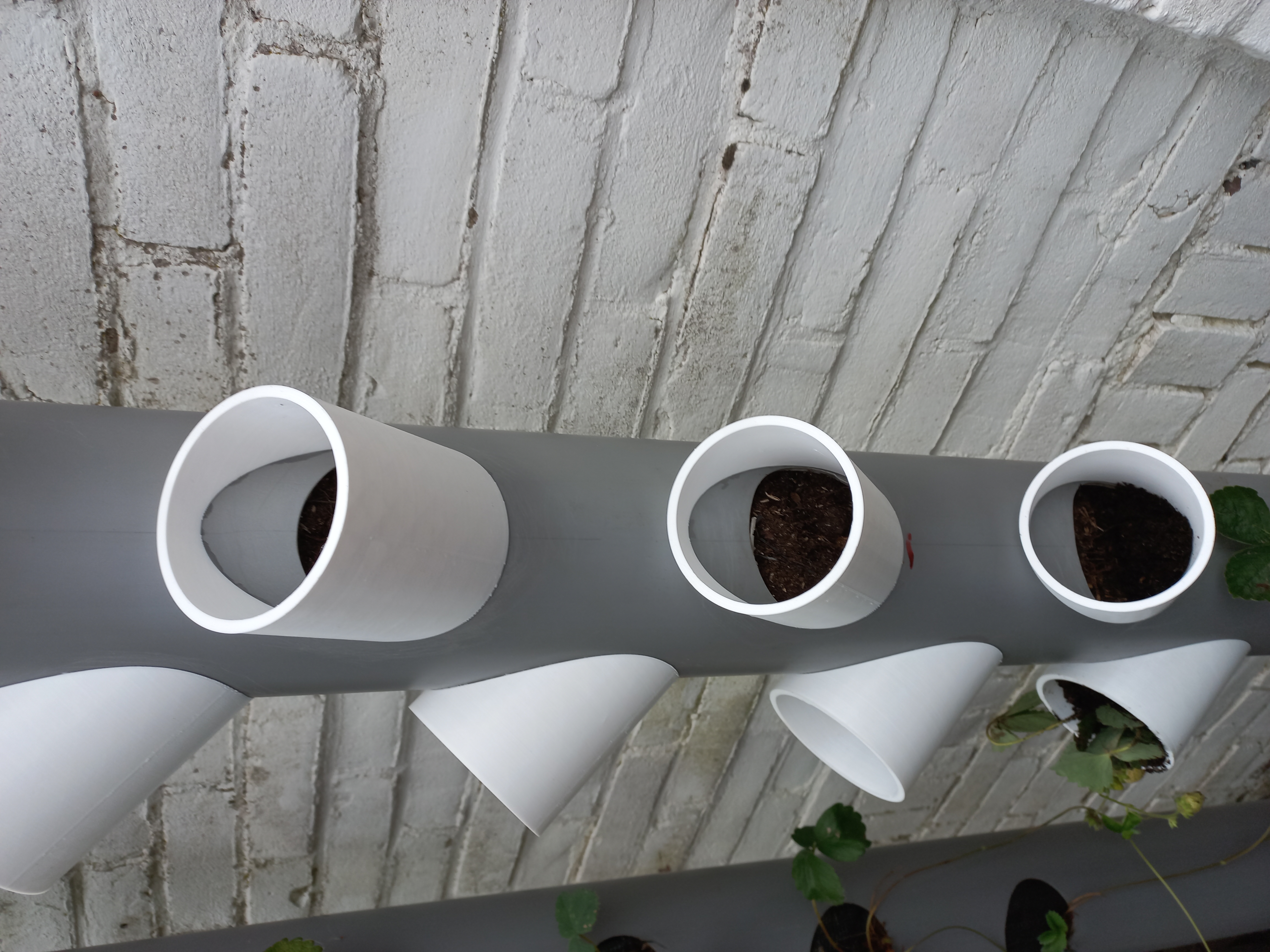 Tube for vertical strawberry garden