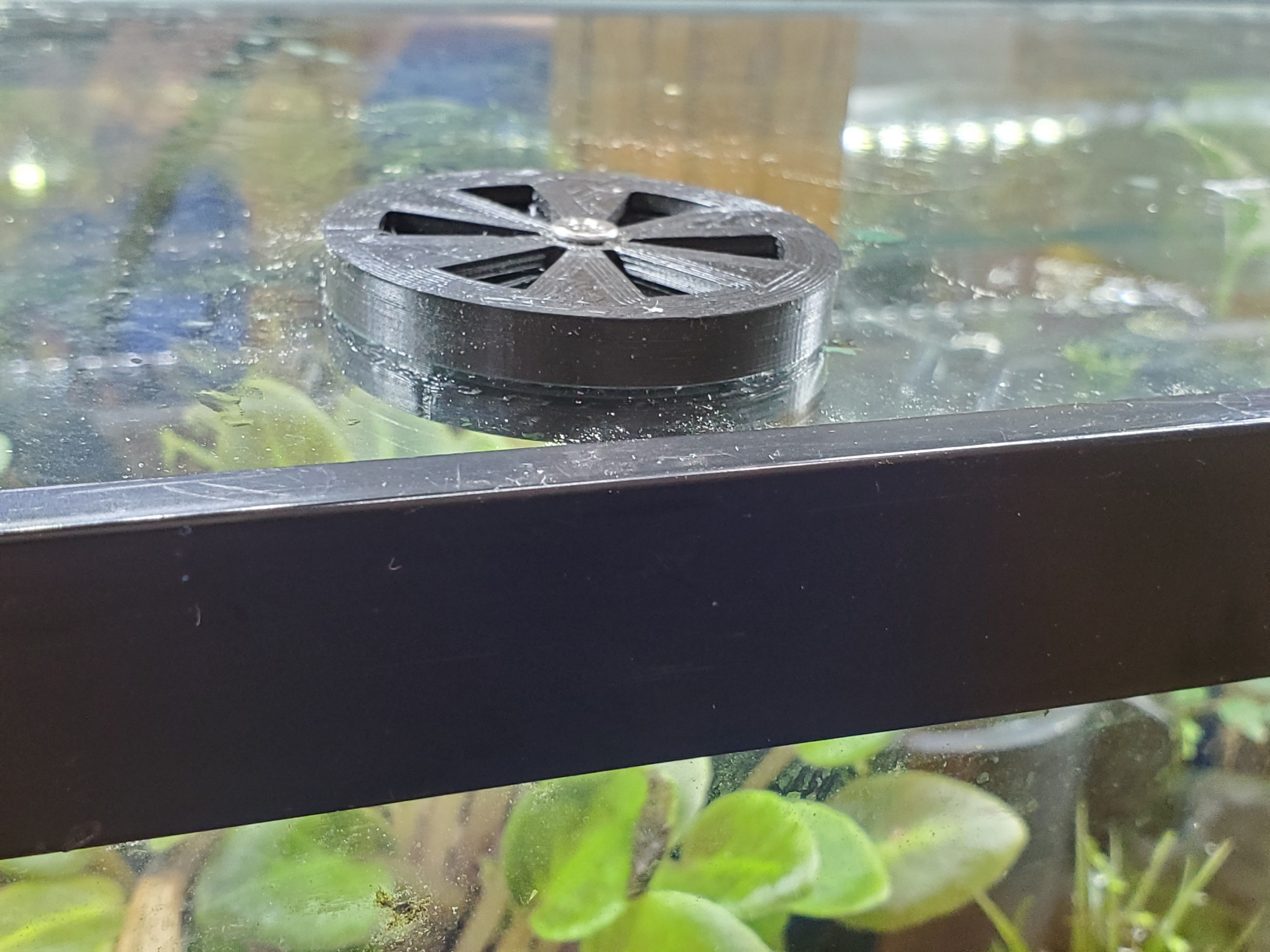Terrarium Vent